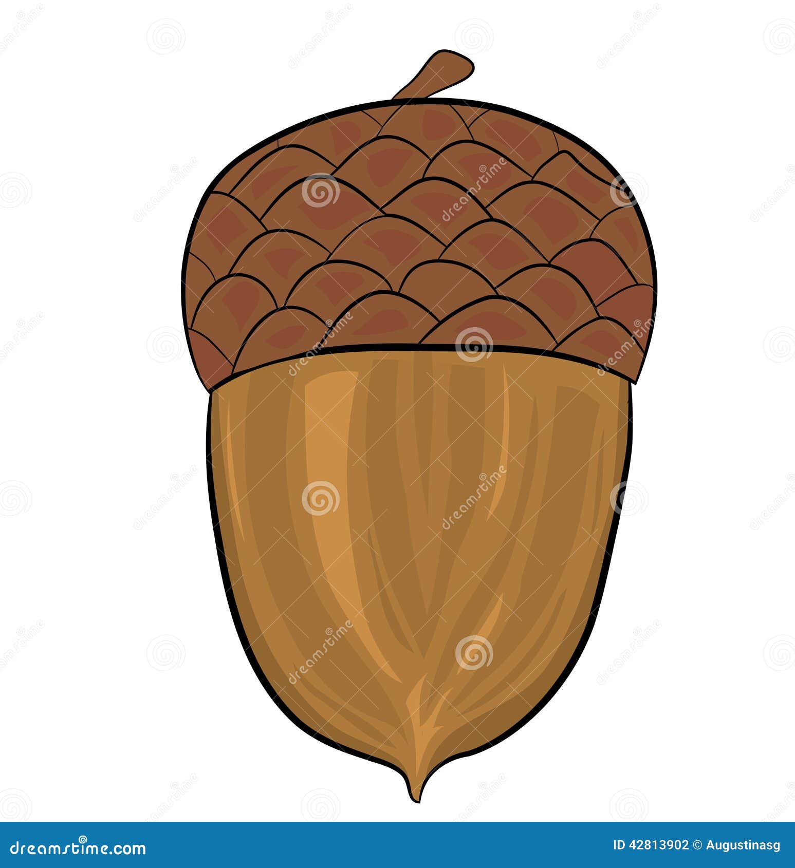 Tree nut clip art