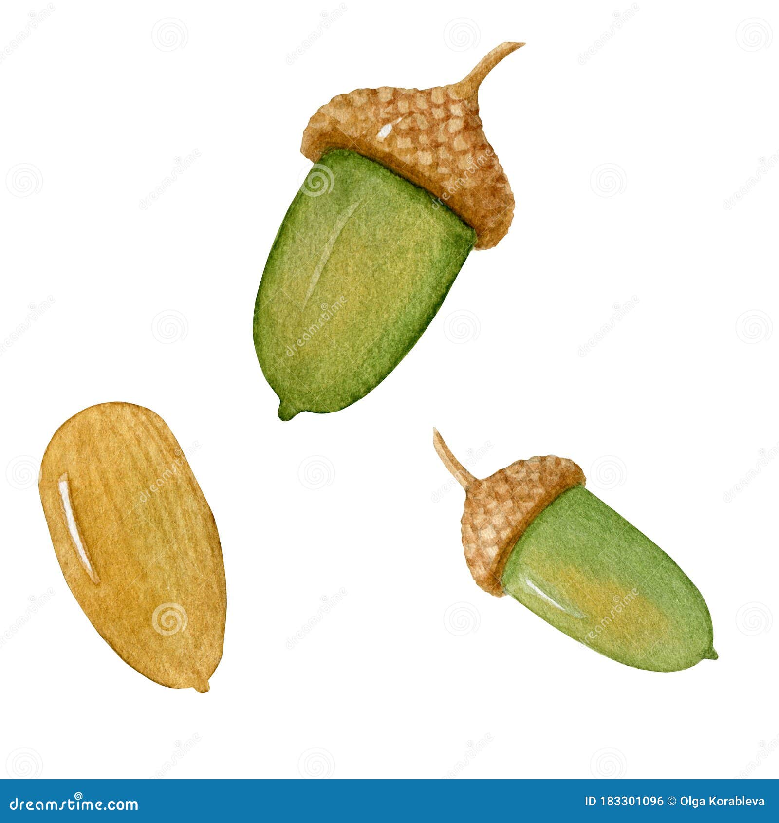 My Image 19