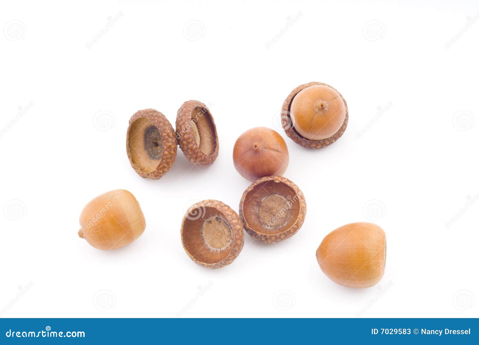 acorns stock price acorns stock price