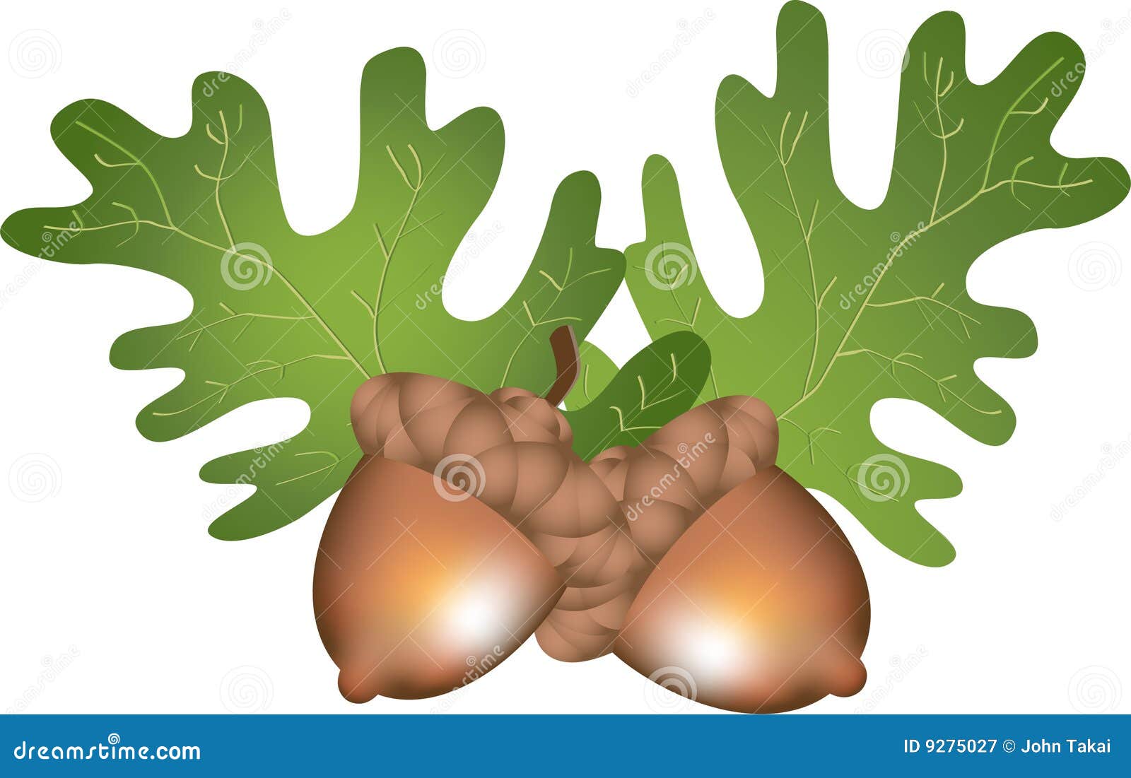 Acorn Cartoon Stock Illustrations – 15,168 Acorn Cartoon Stock  Illustrations, Vectors & Clipart - Dreamstime