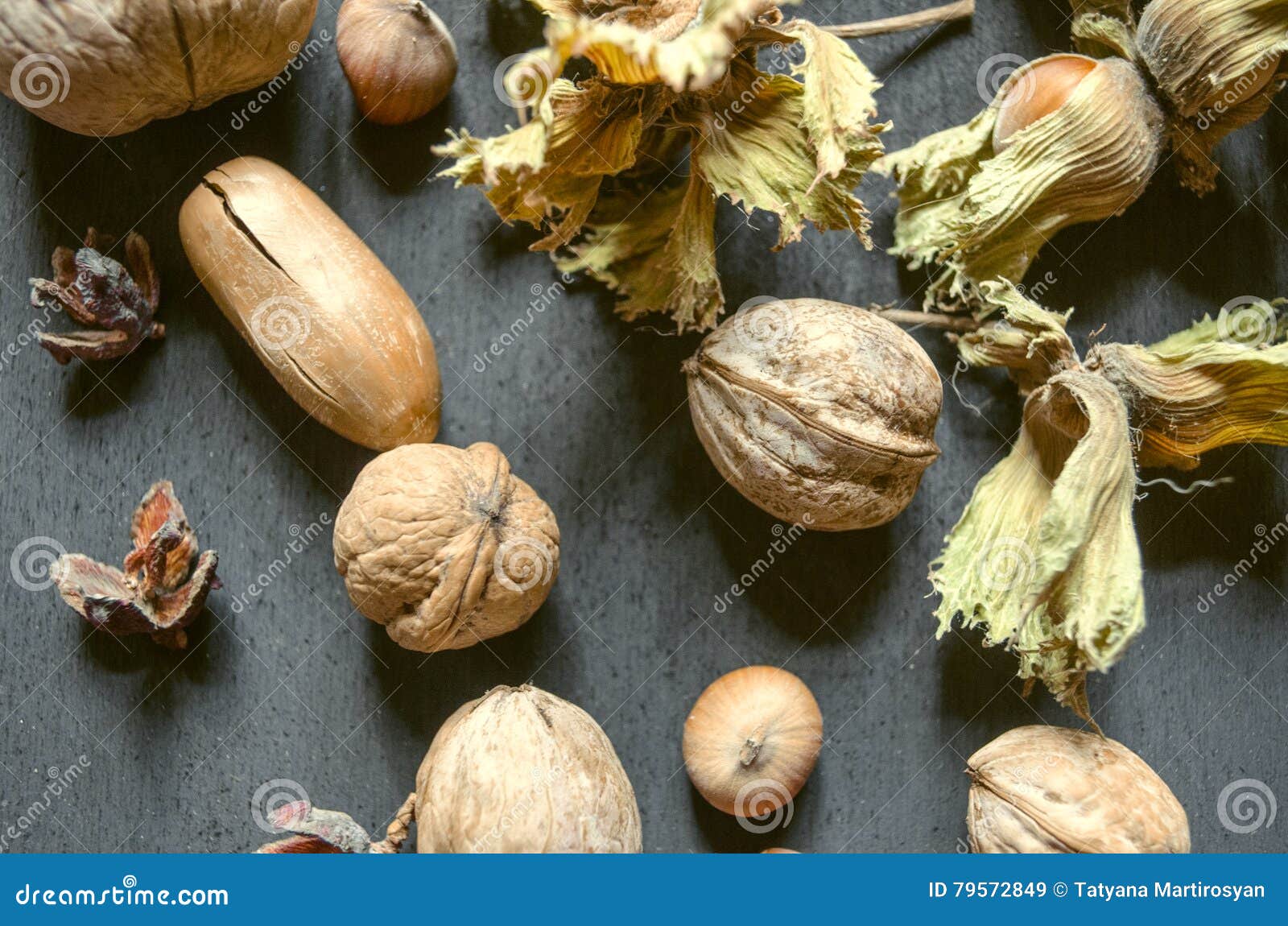 Acorns,nuts,hazelnuts with Dry Peduncle on Black Background Stock Image