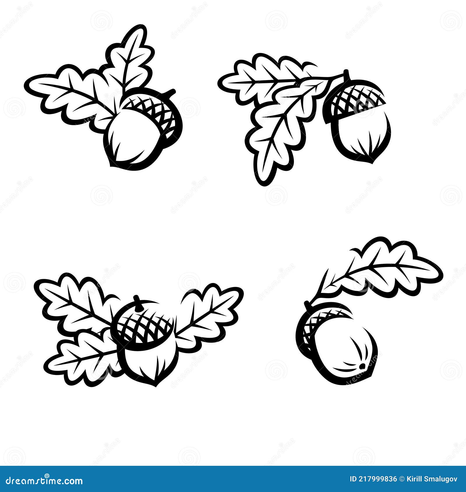 acorns set. collection icon acorns. 