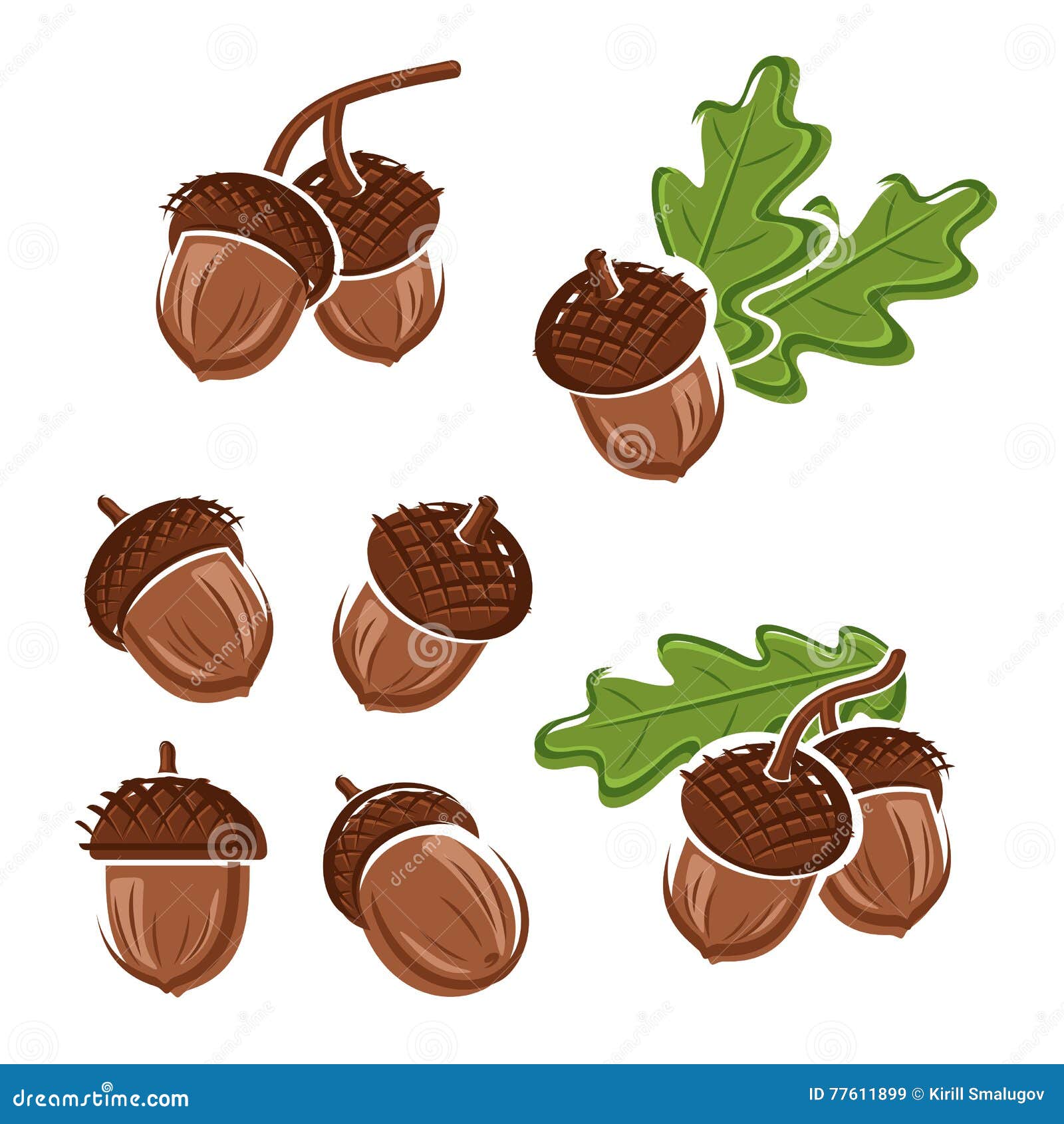 acorns set. 