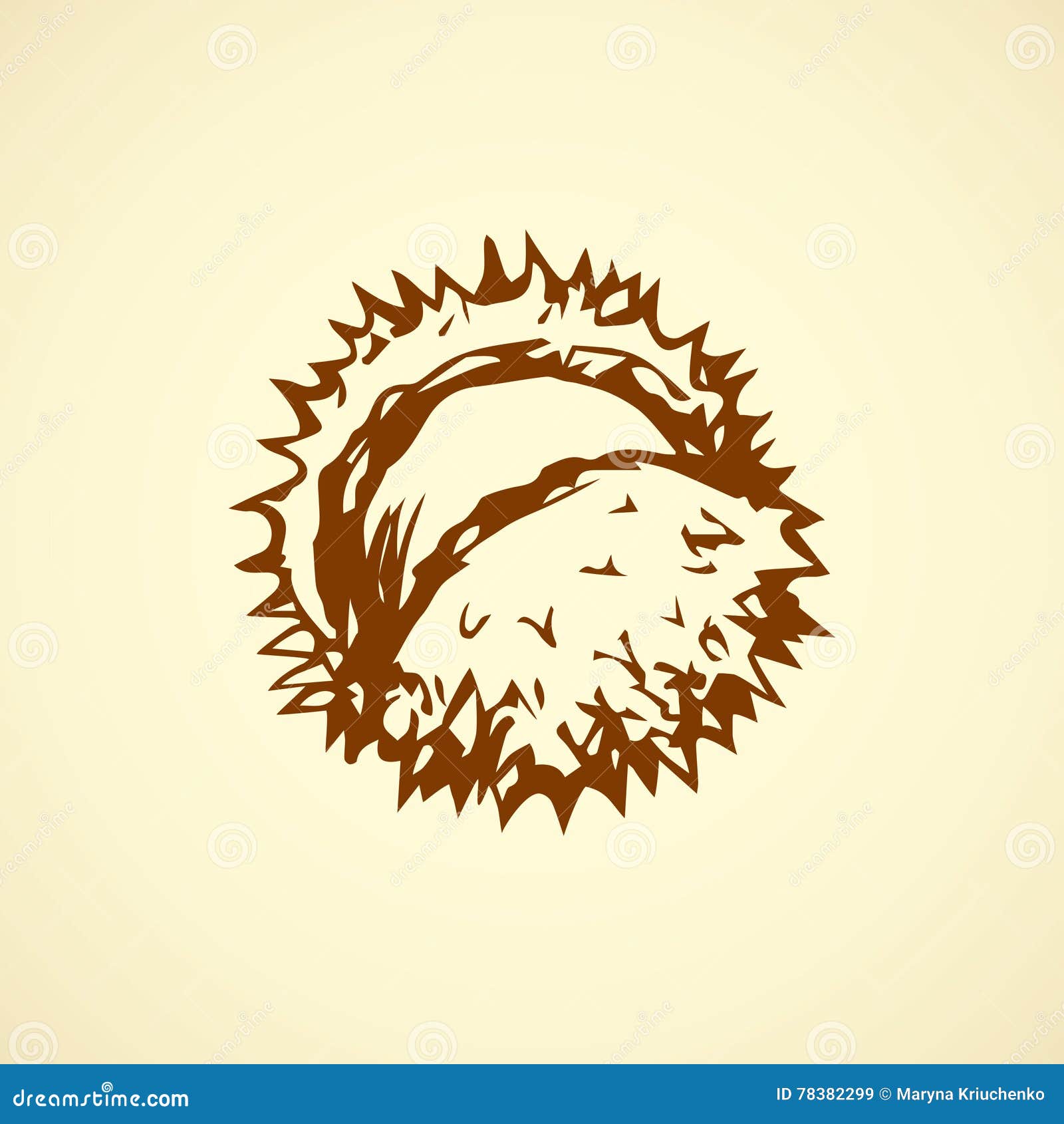 broken acorn drawing broken acorn drawing