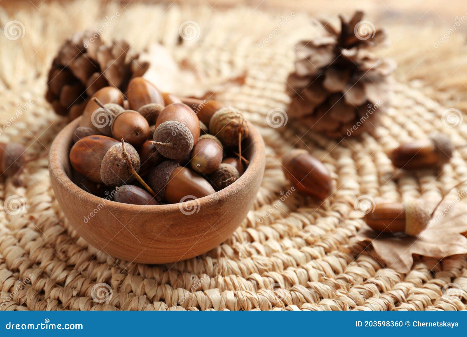 Acorns in Wooden Bowl on Wicker Mat. Space for Text Stock Photo Image