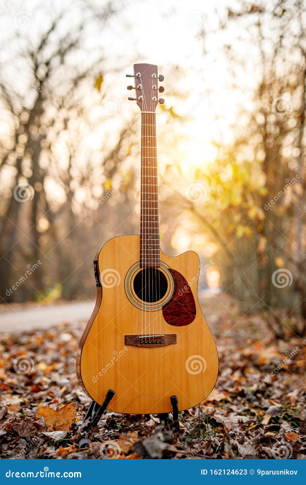Acoustic Guitar in the Autumn Forest Stock Image Image of leaf