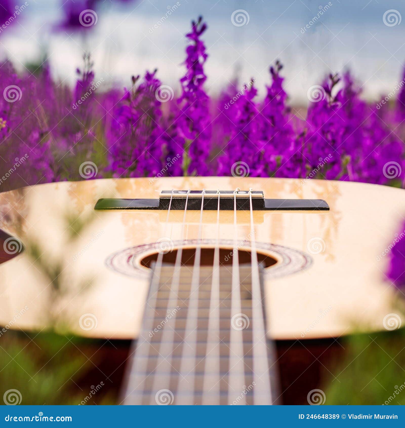 Acoustic Guitar in a Flower Field Stock Image - Image of musician