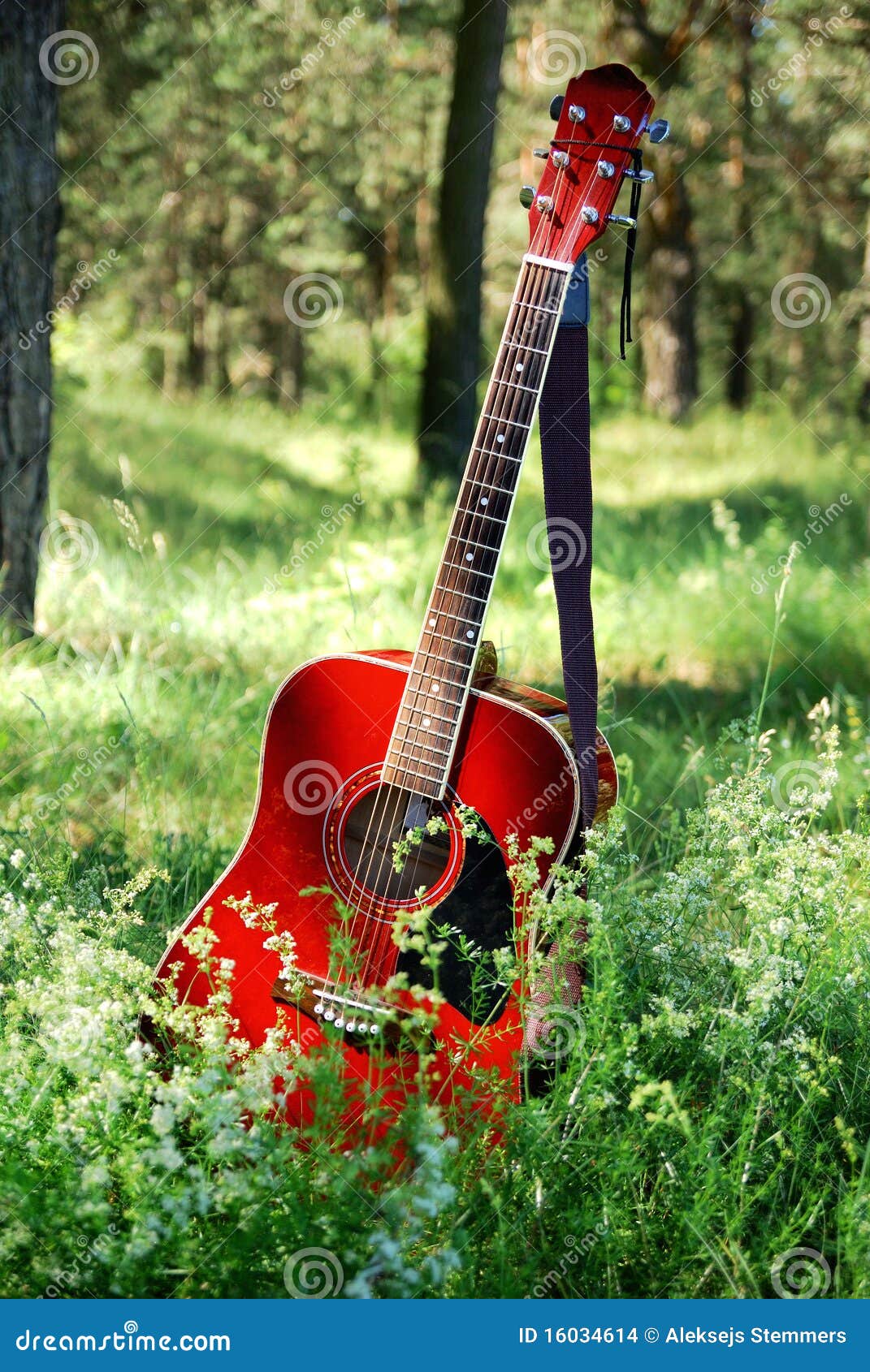 vintage free vector guitar In Acoustic Stock Grass Image: The 16034614 Guitar Photo vintage free vector guitar In Acoustic Stock Grass Image: The 16034614 Guitar Photo