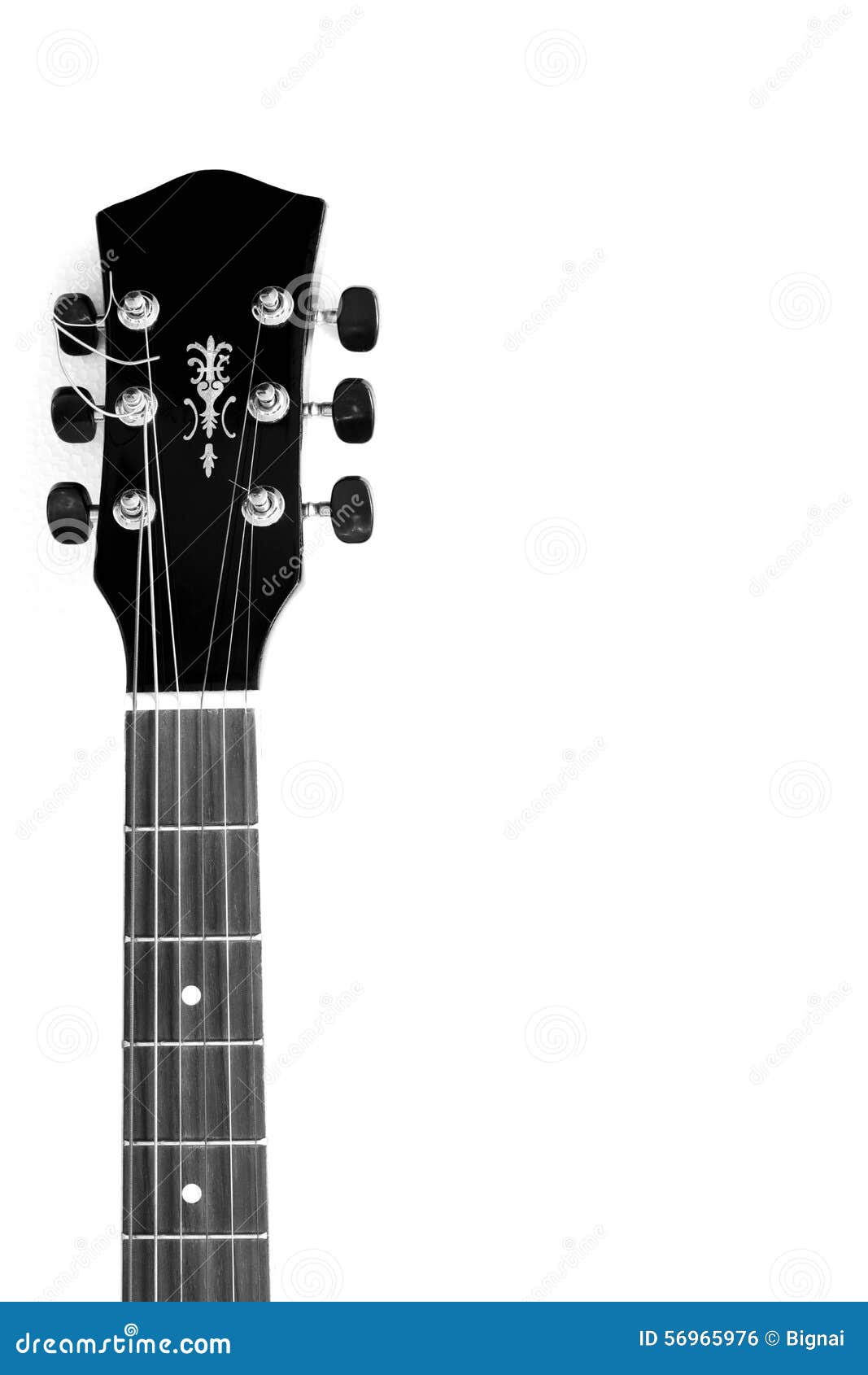 Acoustic Guitar Neck in Black and White Stock Photo Image of