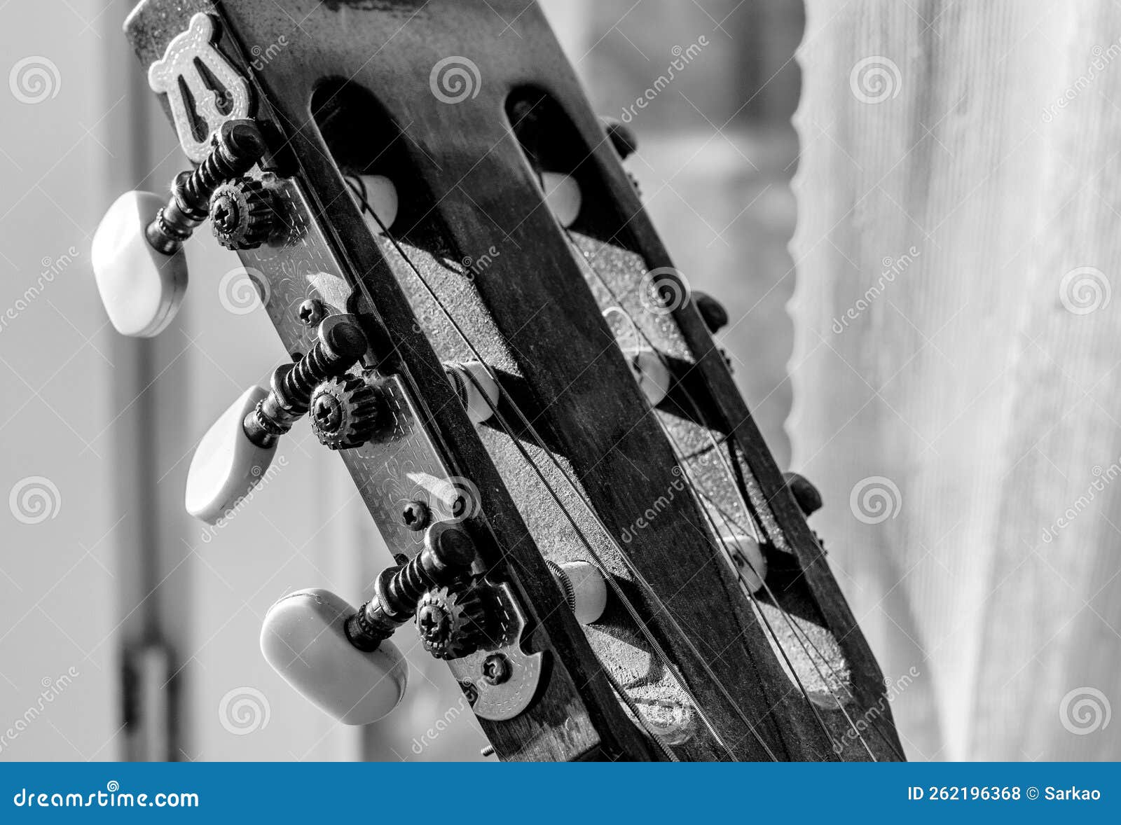 Acoustic Guitar Pegs Detail Stock Photo Image of strings, nylon