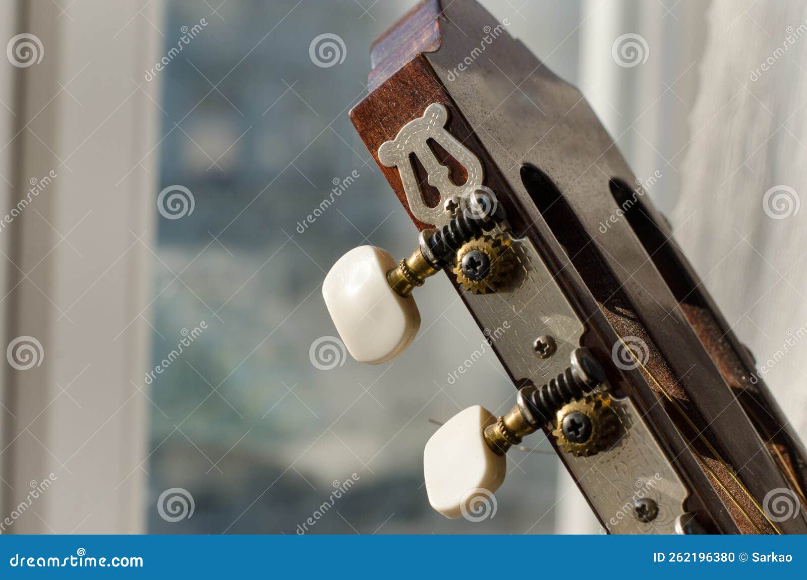 Acoustic Guitar Pegs Detail Stock Photo Image of detail, strings