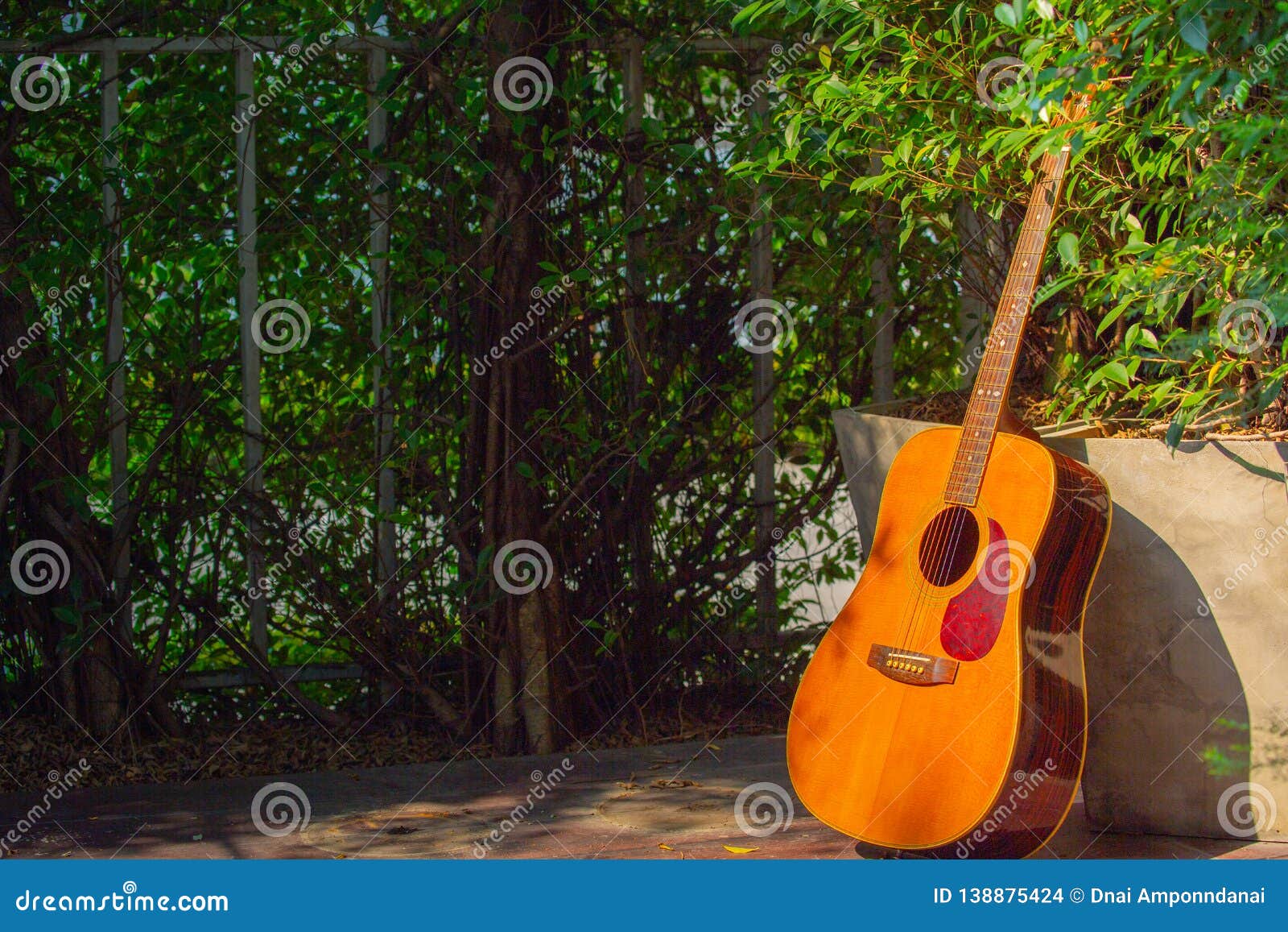 Acoustic Guitar that is Placed in the Garden at Home Stock Photo Image of acoustic, flip
