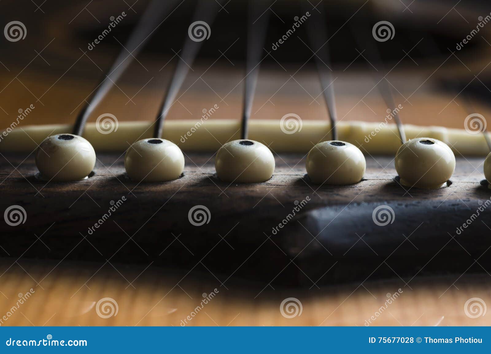 Acoustic Guitar String Pegs Stock Photo Image of bridge, acoustic