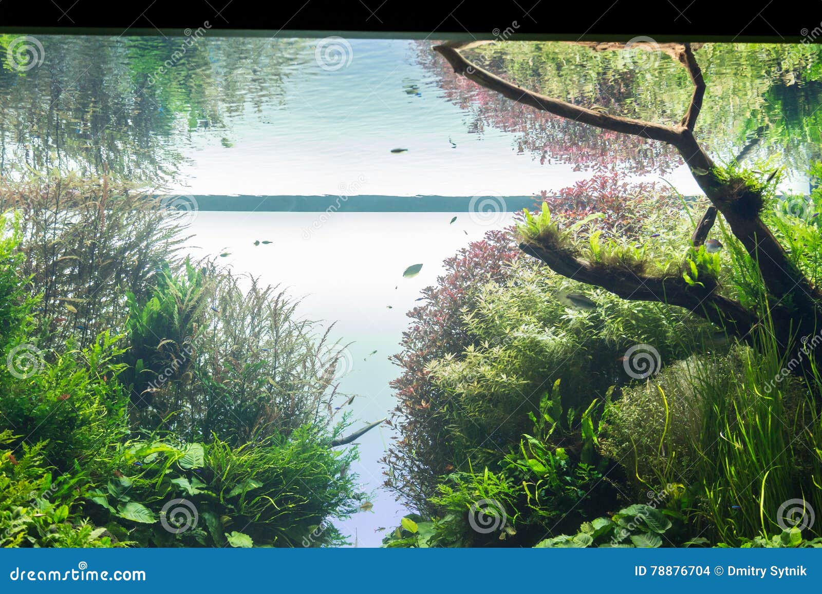 Sfondo Per Acquario In Vinile - 180x46cm, Design Pietra E Piante Acquatiche, Per Decorazione Vasca - Foto 5