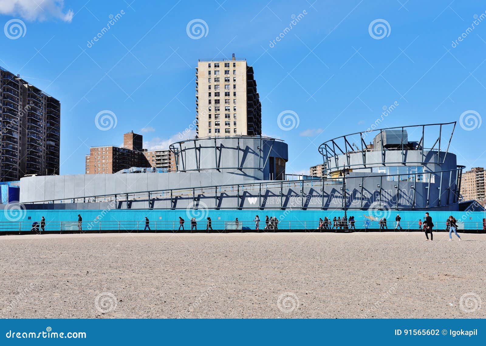 Acquario Di New York Per La Costruzione Degli Squali Fotografia Editoriale Immagine Di York Front