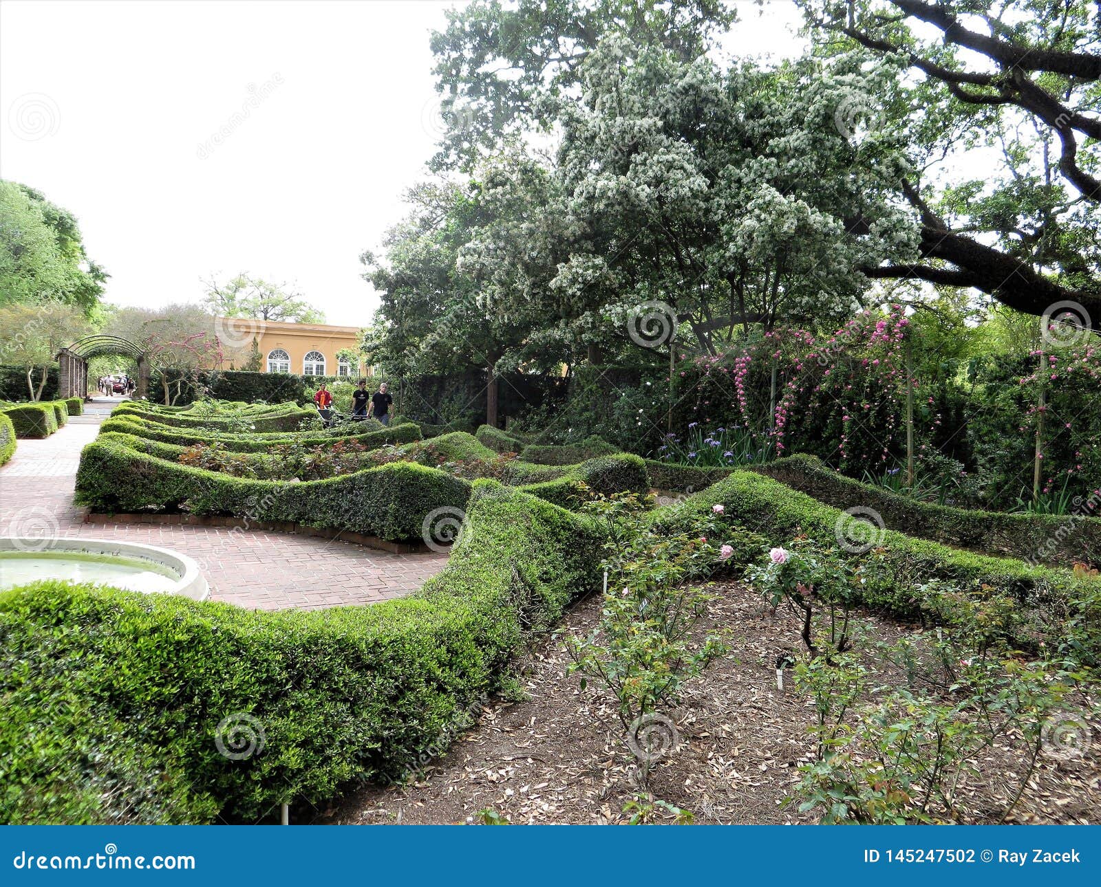 New Orleans Botanical Garden Stock Photo Image Of Rain Several