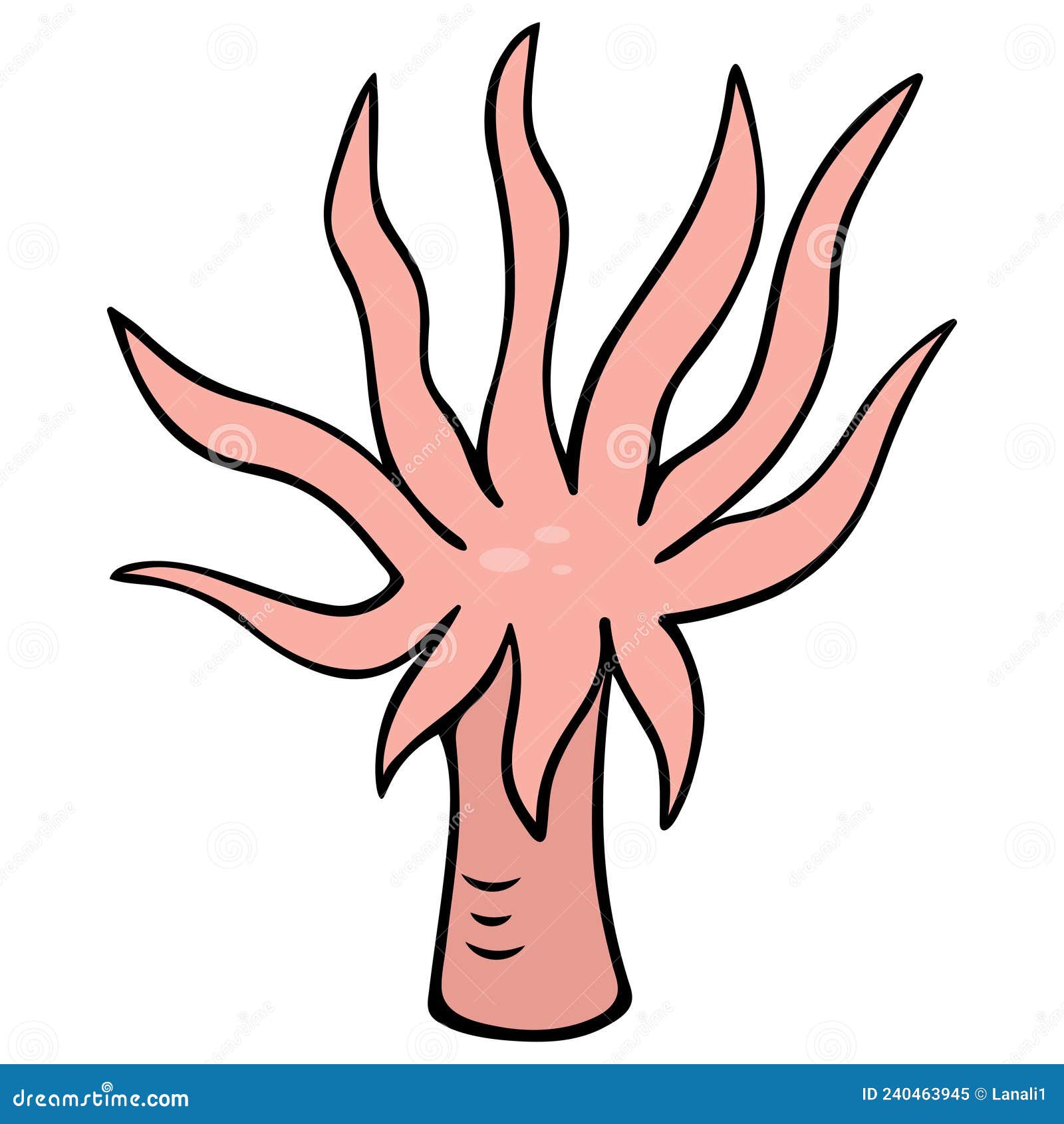 Actinia. Sea Anemone. Sea Animal in the Form of a Flower. Aquatic Invertebrate Animal. Vector Illustration. Coral Polyp Stock Vector - Illustration of isolated, cartoon: 240463945 Actinia. Sea Anemone. Sea Animal in the Form of a Flower. Aquatic Invertebrate Animal. Vector Illustration. Coral Polyp Stock Vector - Illustration of isolated, cartoon: 240463945