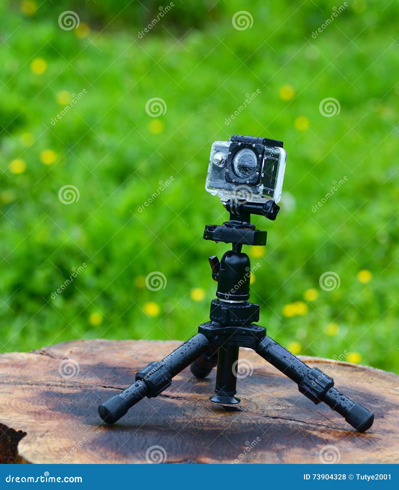 Action Camera on Tripod in Grass Area Stock Photo Image of close
