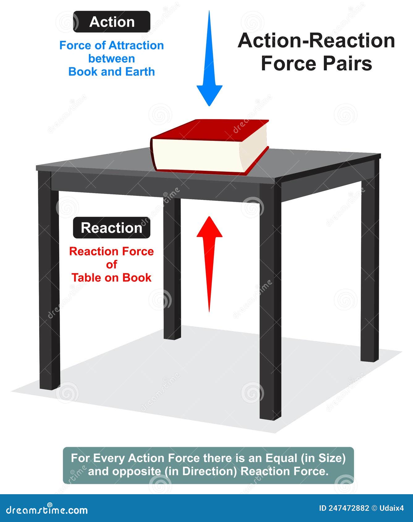 what is action reaction force pair