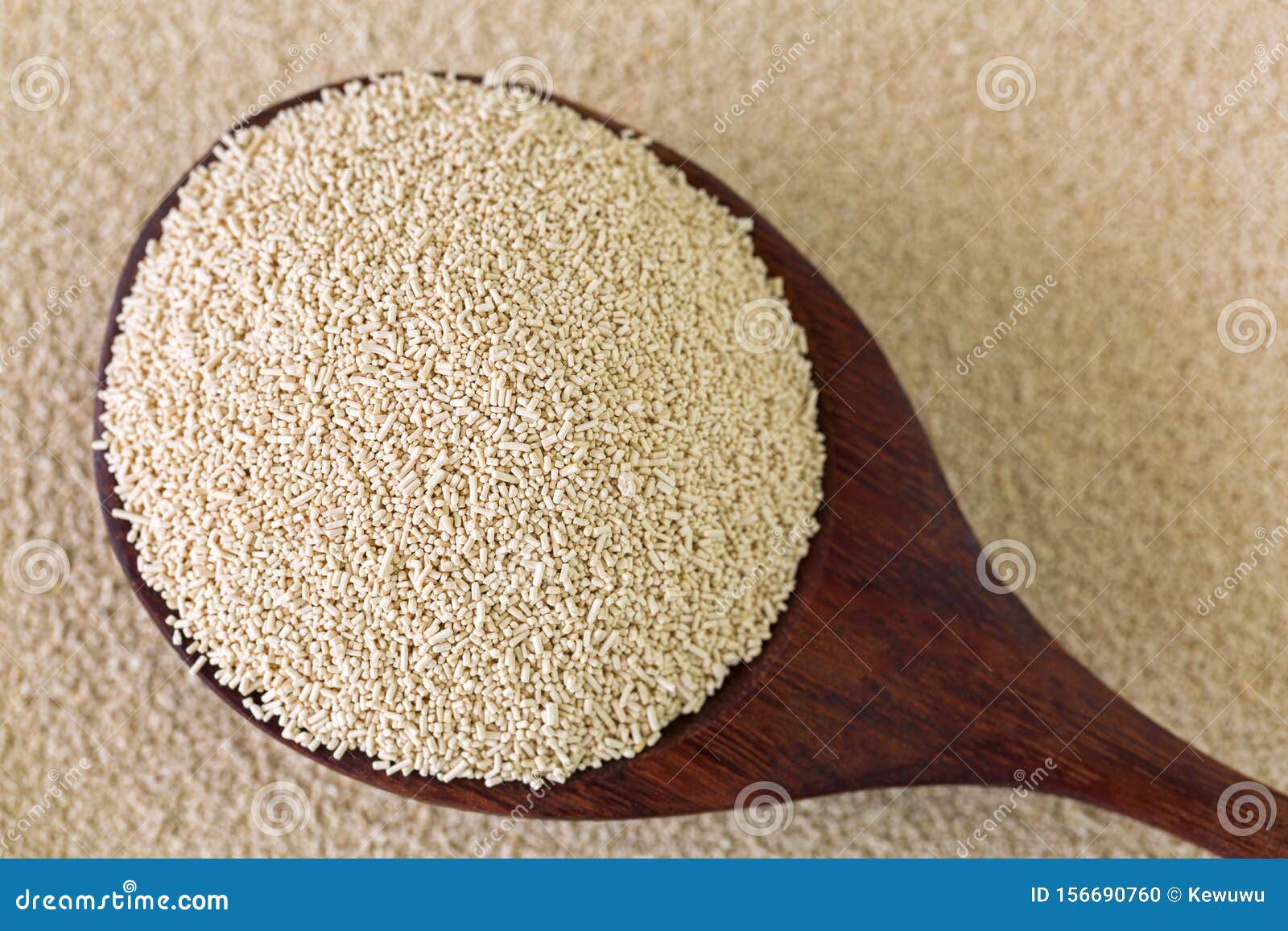Active Dry Baking Yeast Granules in Wooden Spoon Stock Photo Image of