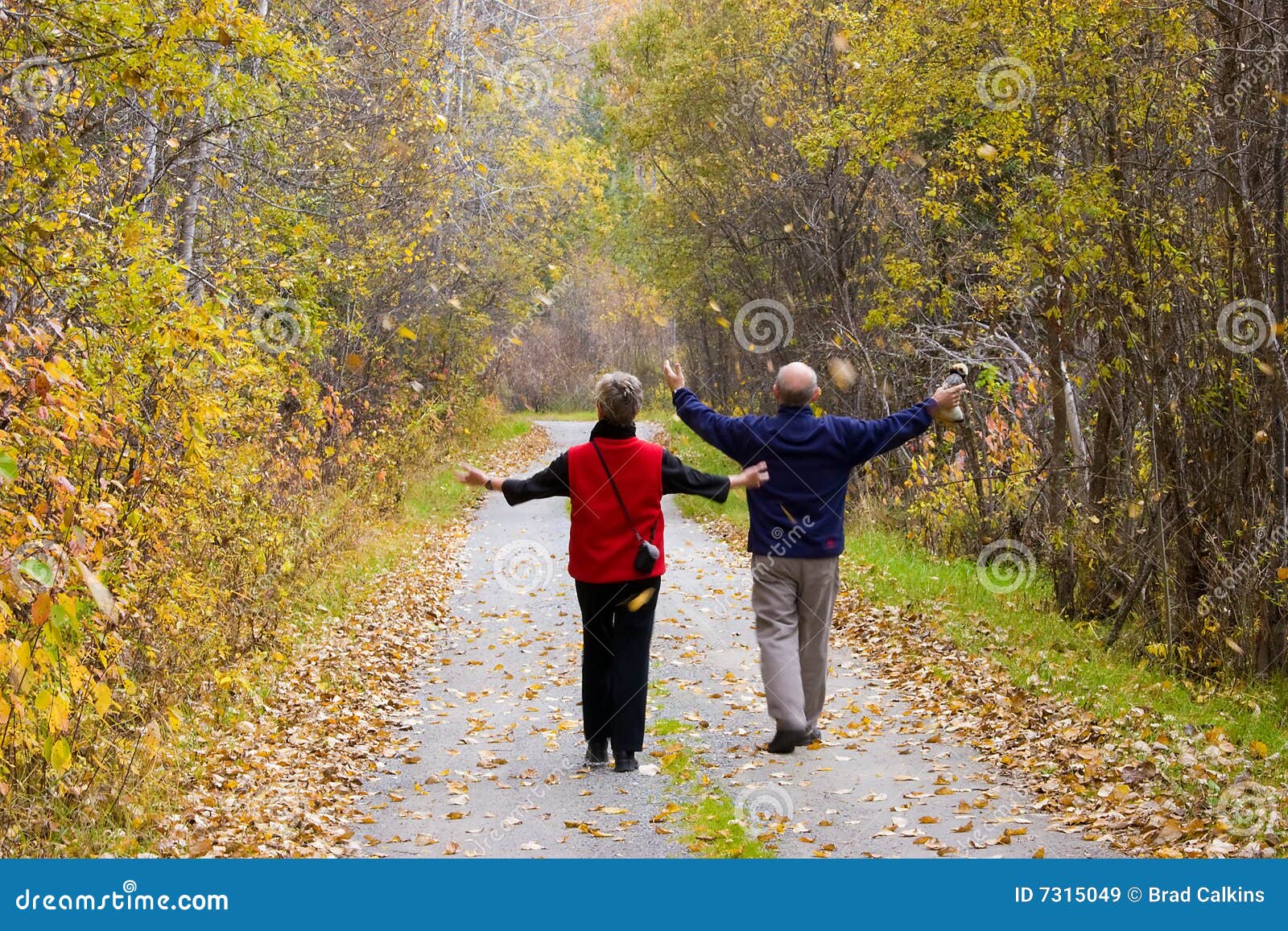 Active Seniors Royalty Free Stock Images Image 7315049