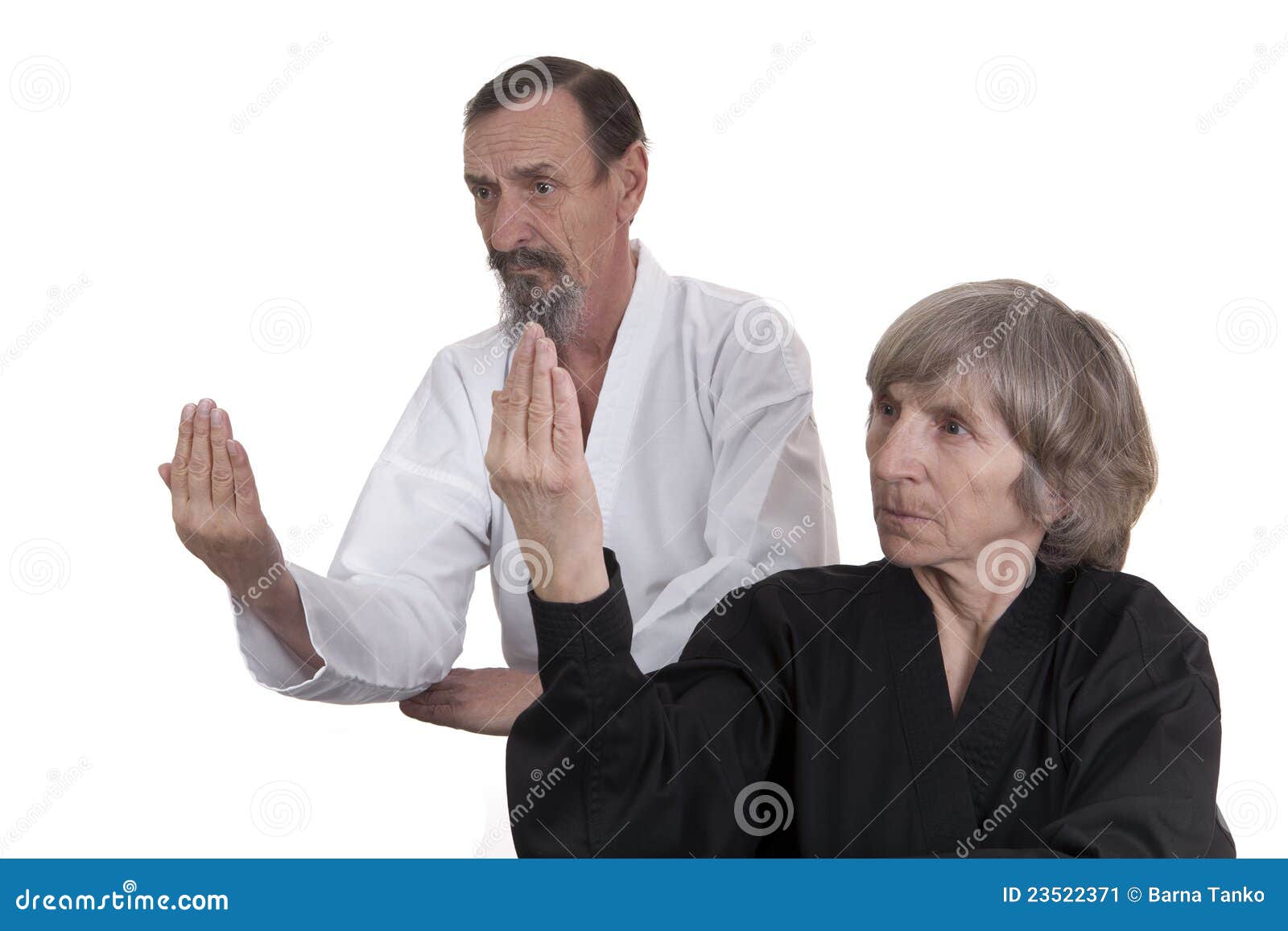 Active Seniors Practicing Martial Arts Stock Image Image of traiing, senior 23522371