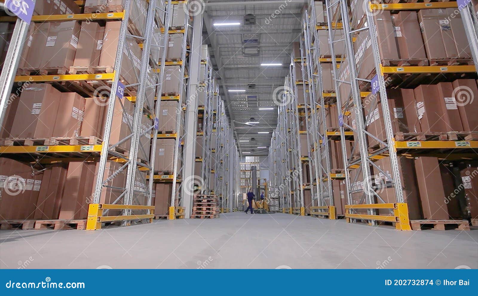 Active Work in the Warehouse, Large Modern Warehouse, Industrial