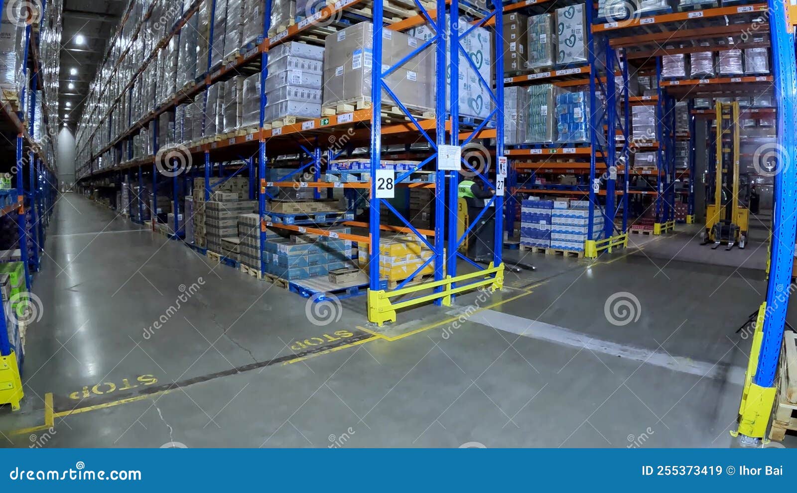 Active Work in the Warehouse. Modern Forklift Works in a Warehouse