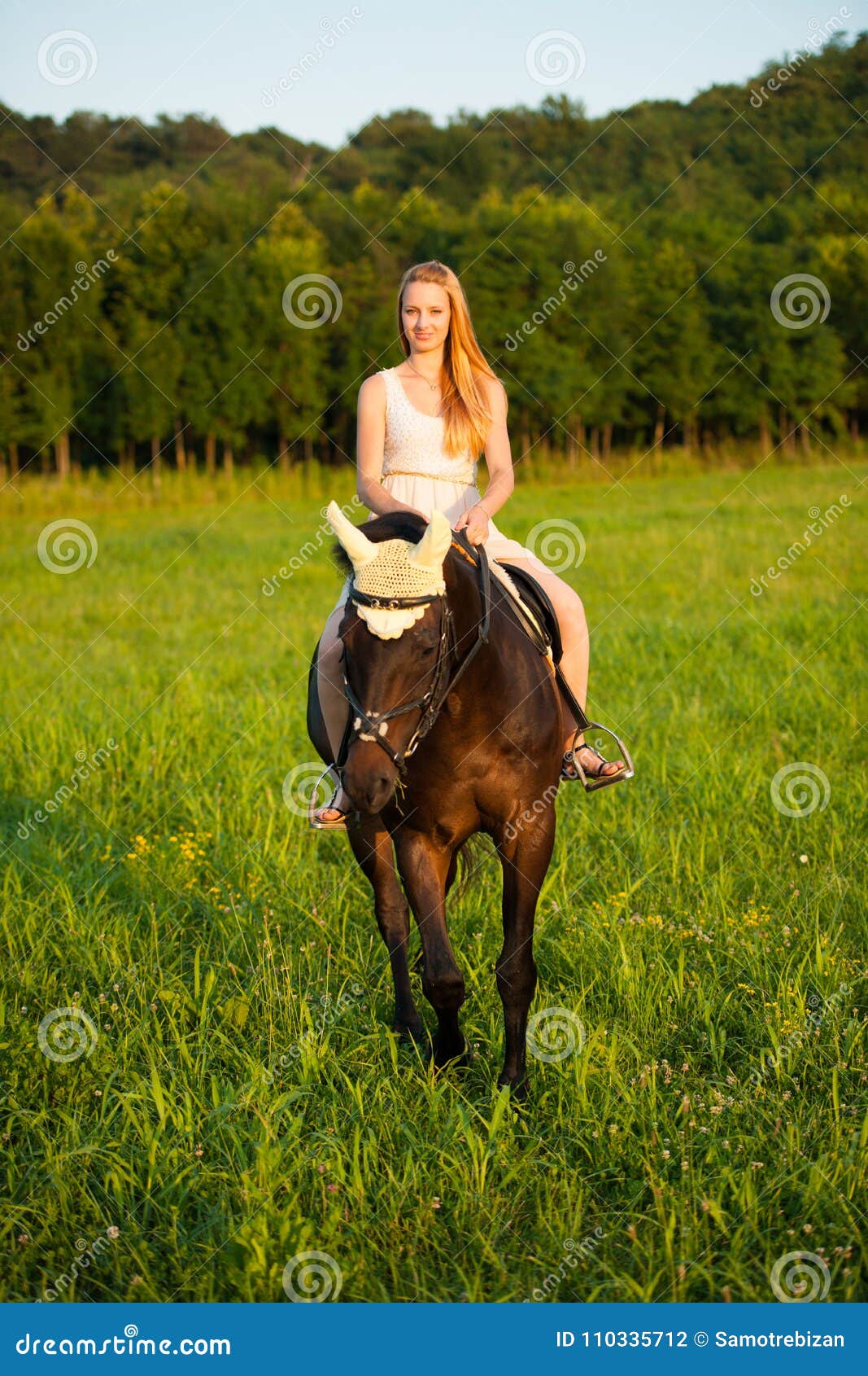 straight active horse anal bestiality videos straight active horse anal bestiality videos