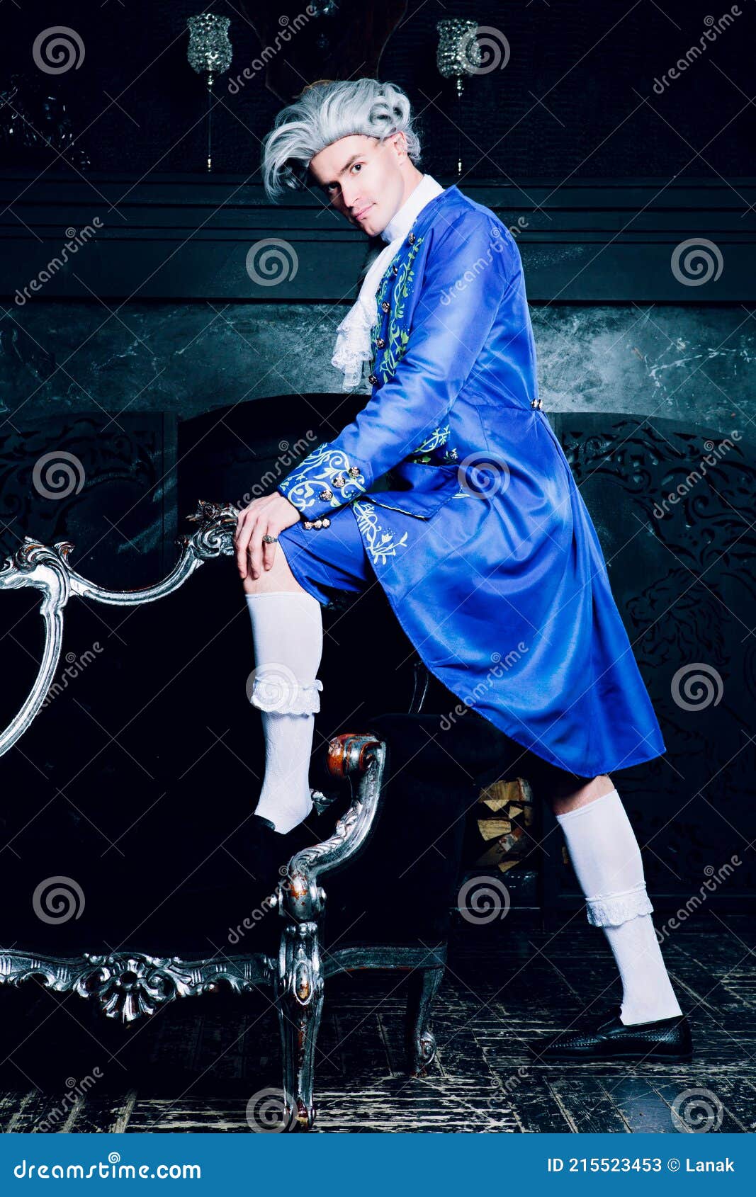 Aristocrat wearing a wig stock image. Image of aristocrat 215523453