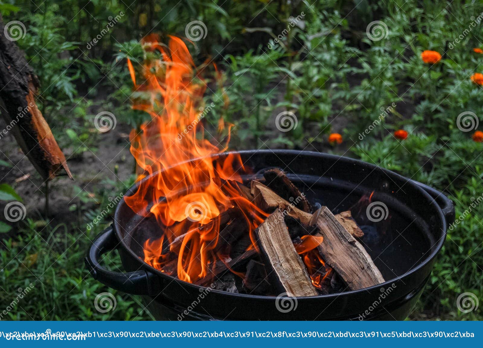 Actual Campfire at the Open Air Stock Image - Image of picnic, barbecue ...