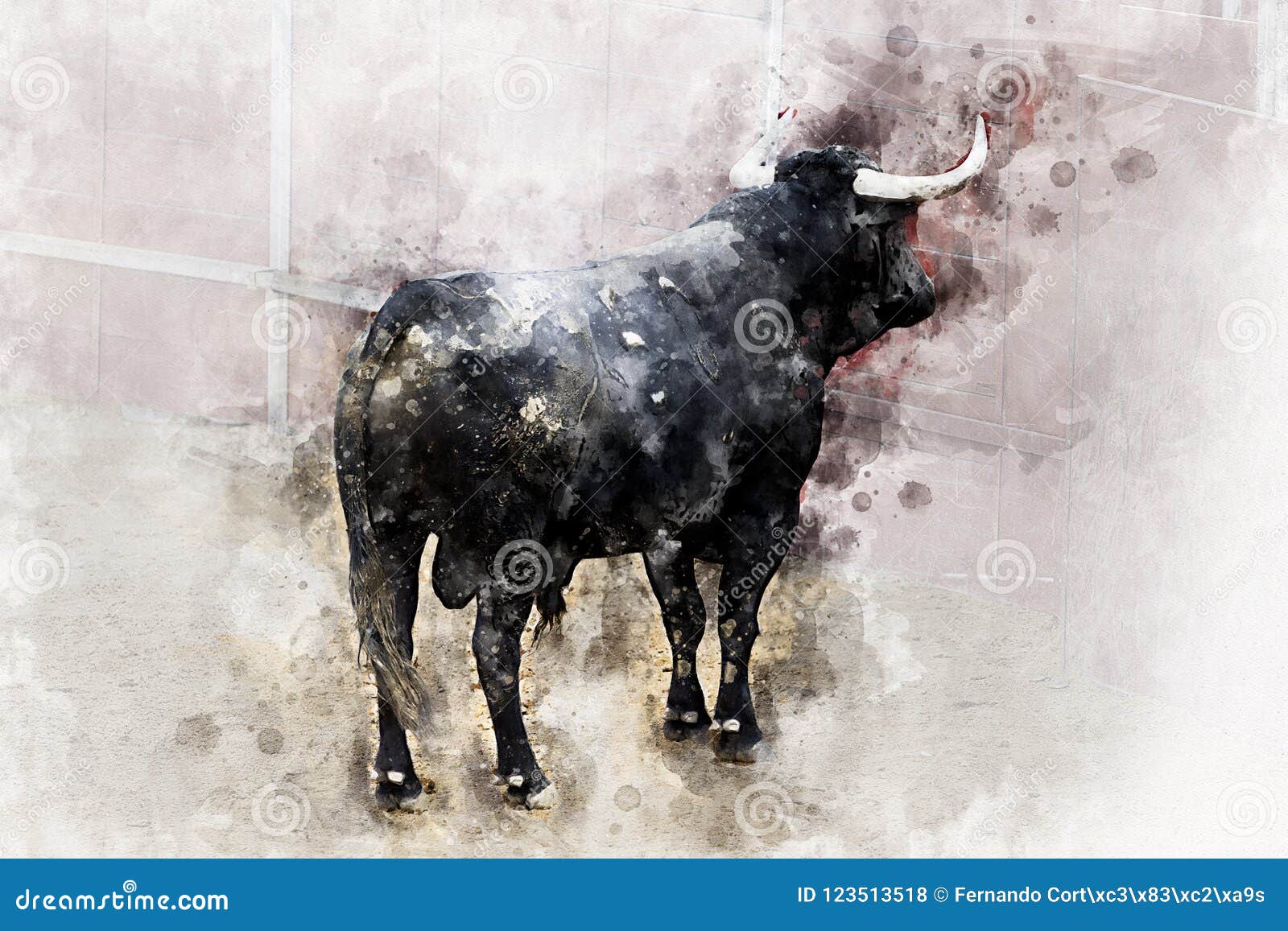 Imagen sobre lienzo luchas toro imagen desde España negro toro cwr-1k