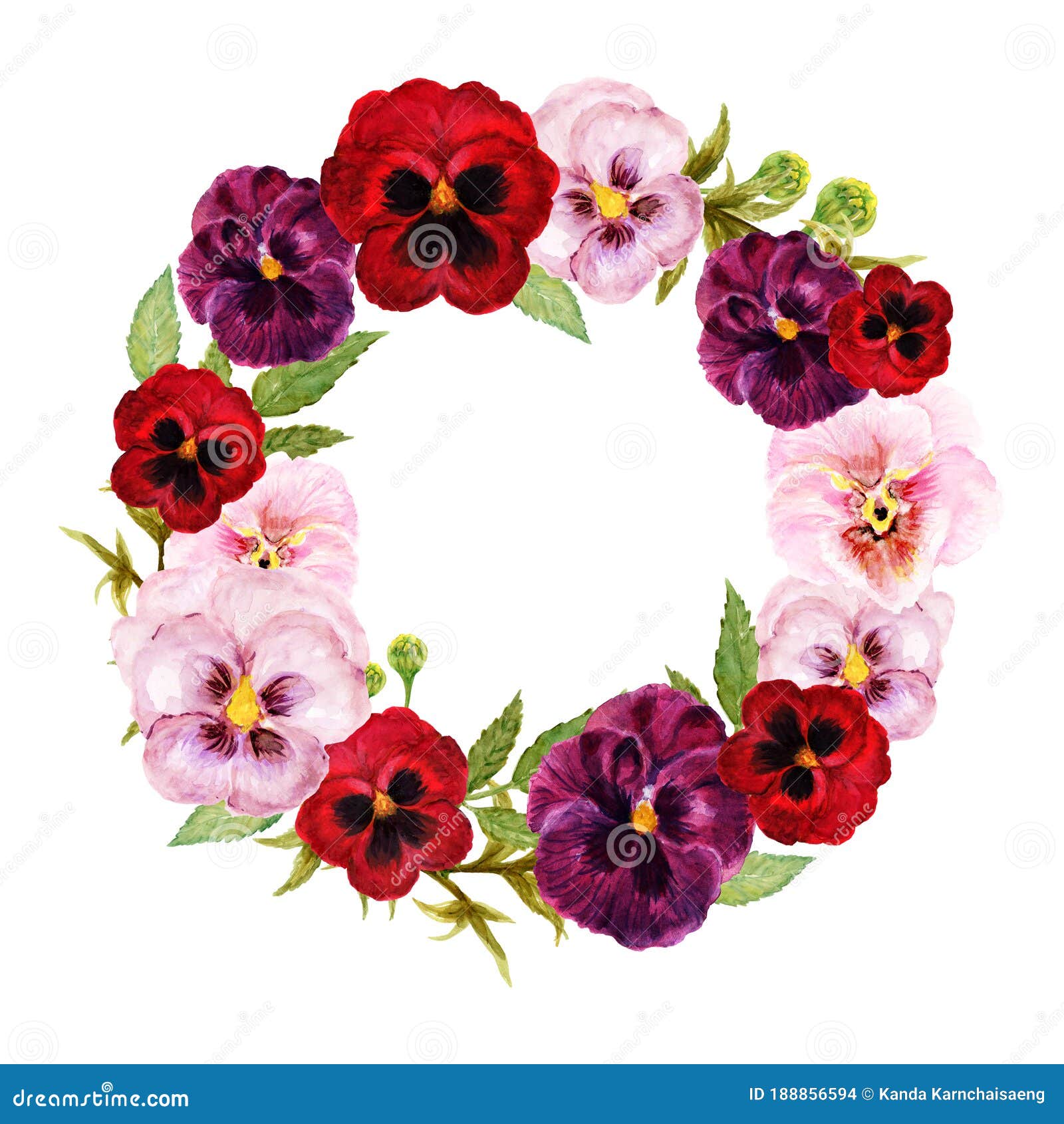 Acuarela De Marsala Flor Pansy Rosa Rojo Hojas De Ilustración Botánica Y  Brotes Para Carta De Invitación De Marco De Flor Stock de ilustración -  Ilustración de ramo, mano: 188856594