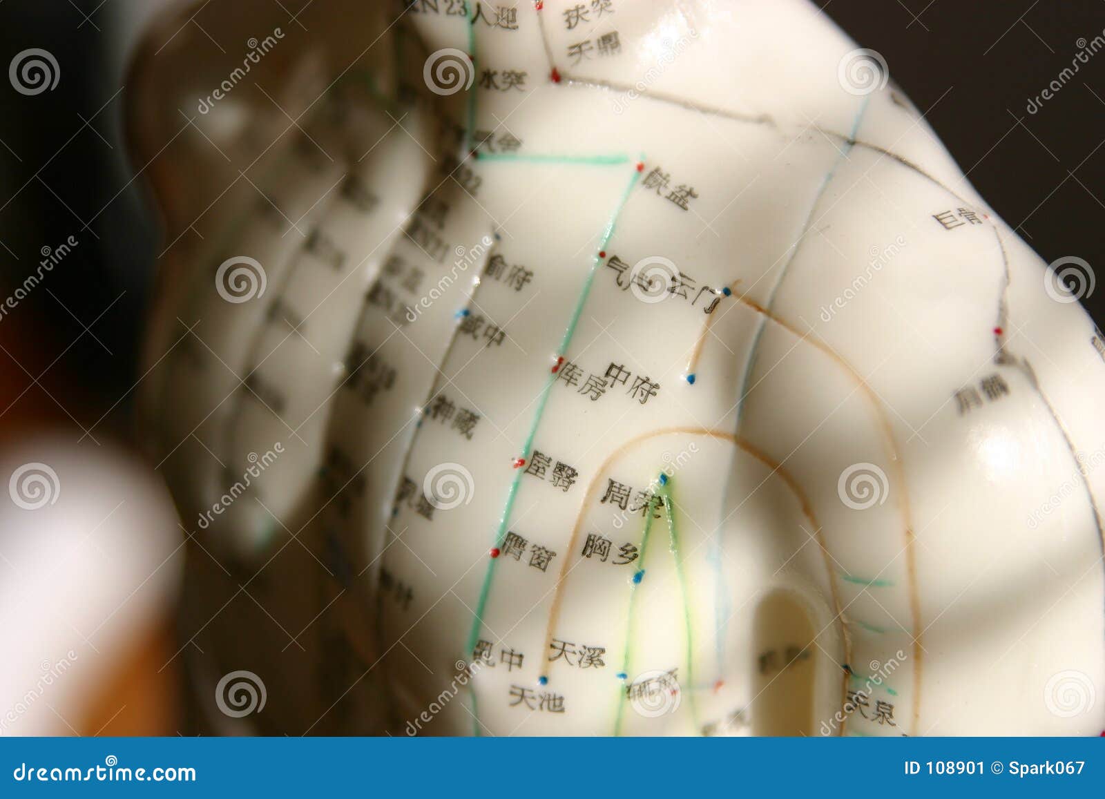 Acupuncture stock image. Image of dummy, human, healing 108901