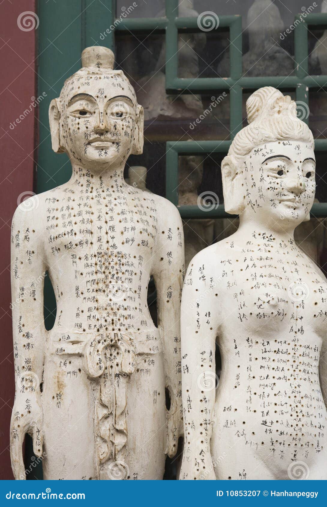 Acupuncture model stock image. Image of doll, shiatsu 10853207