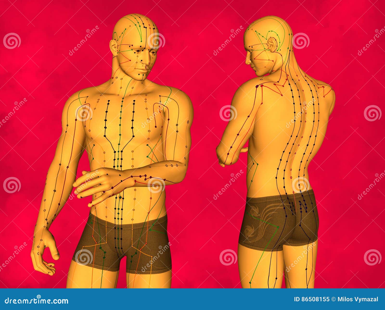 Acupuncture model stock illustration. Illustration of acupressure ... Biology Diagrams
