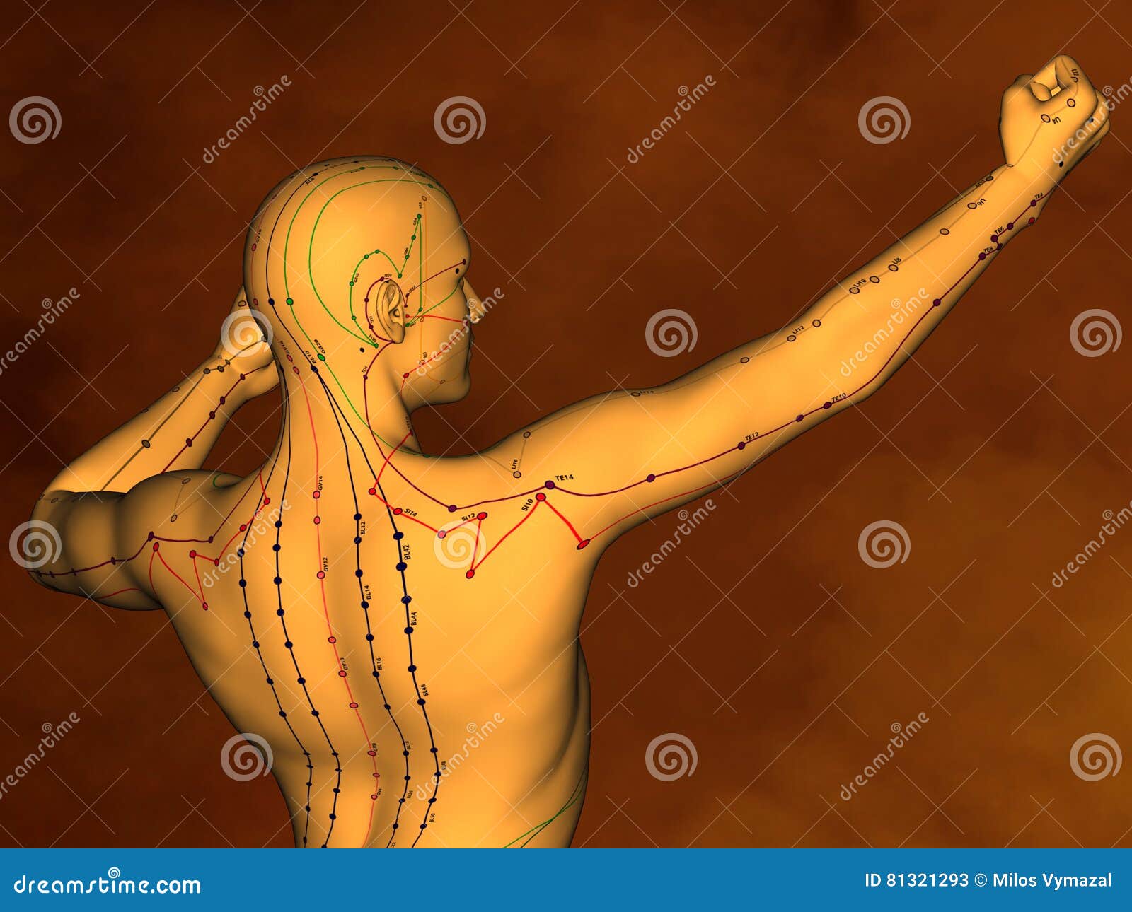 acupuncture model m-pose m4ay-10-1, 3d model
