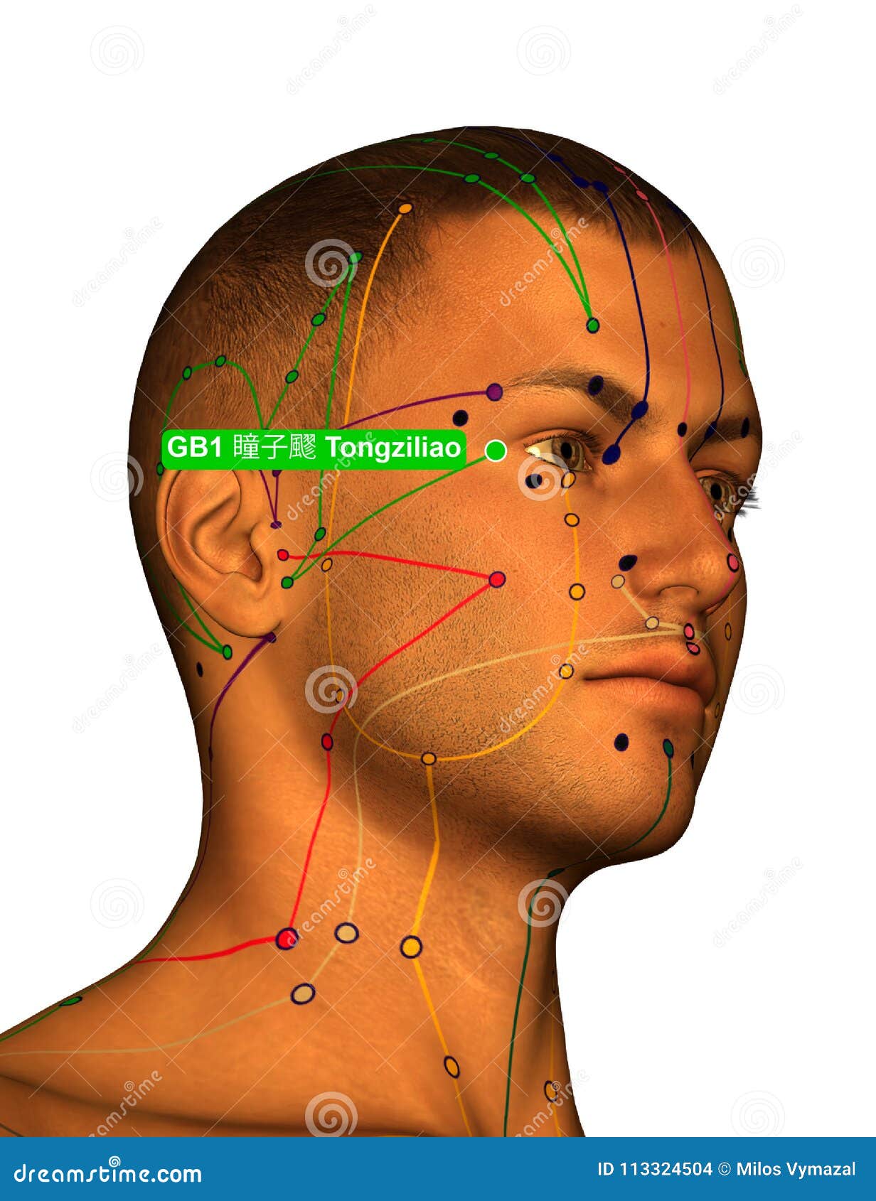 Acupuncture Points On Forehead Chart