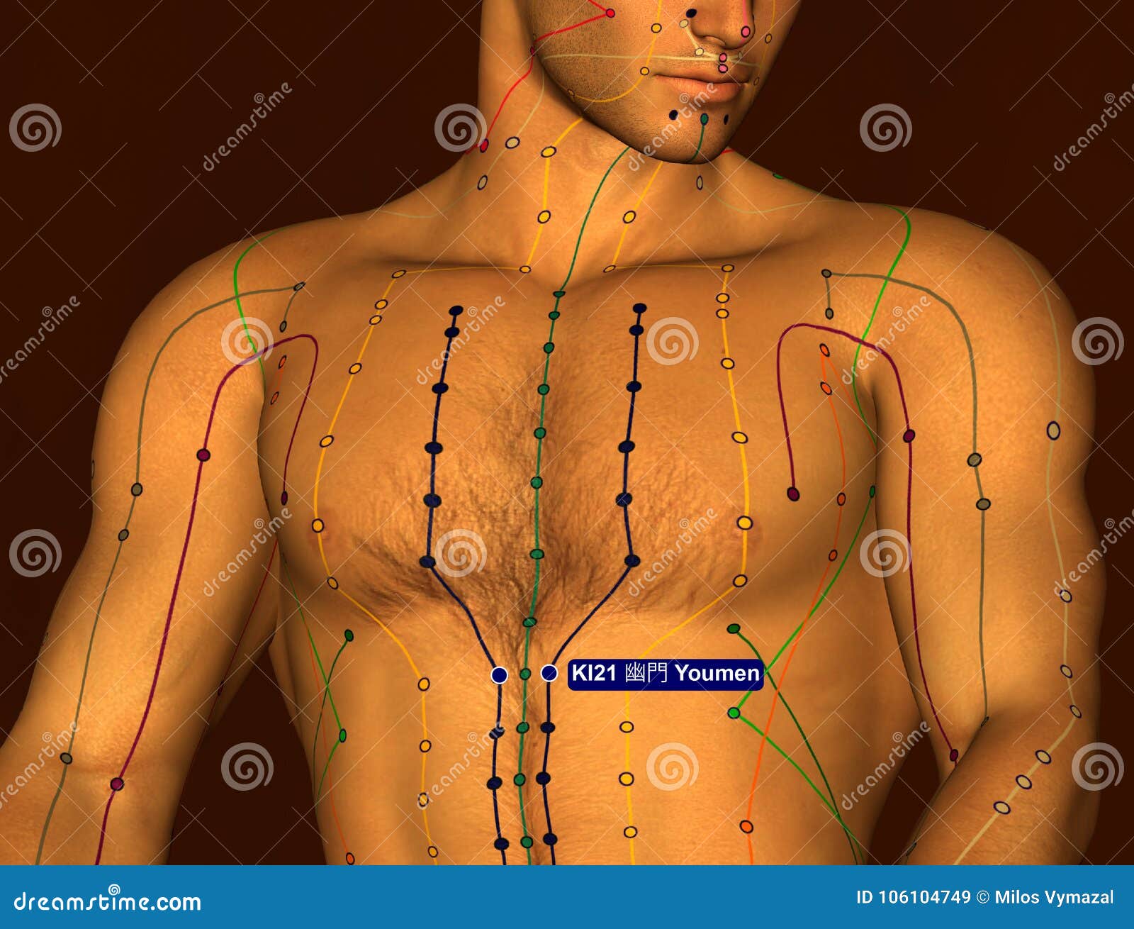 Acupuncture Points Chest Chart