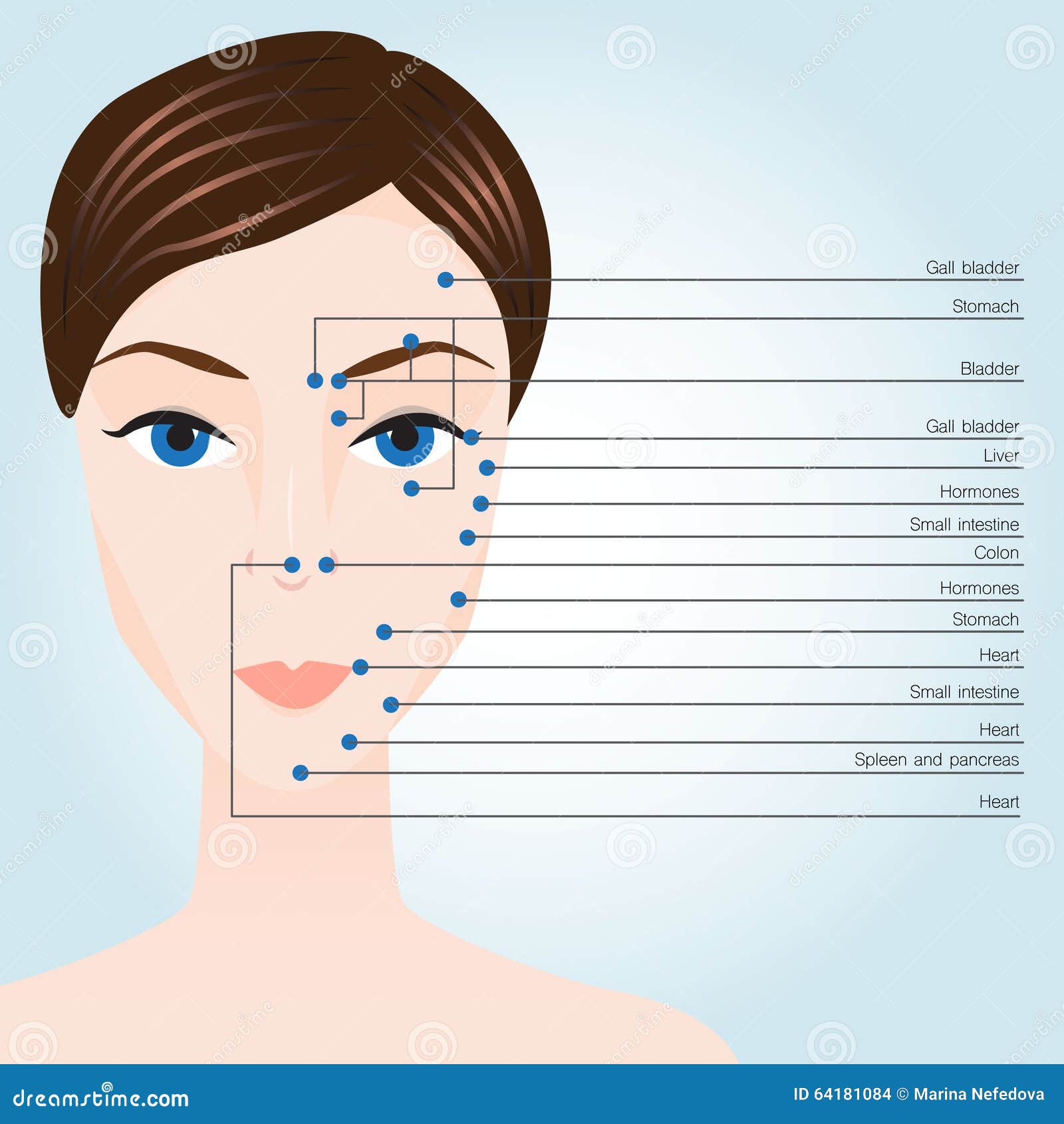 Acupuncture points on face stock illustration ...