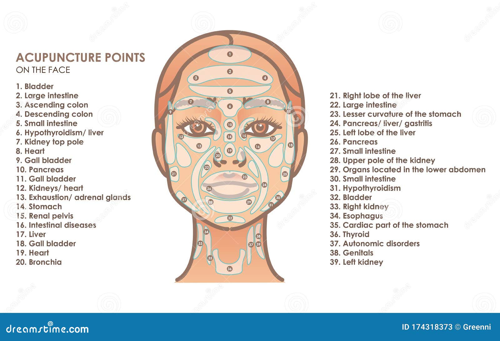 acupuncture points on the face. young woman face.  