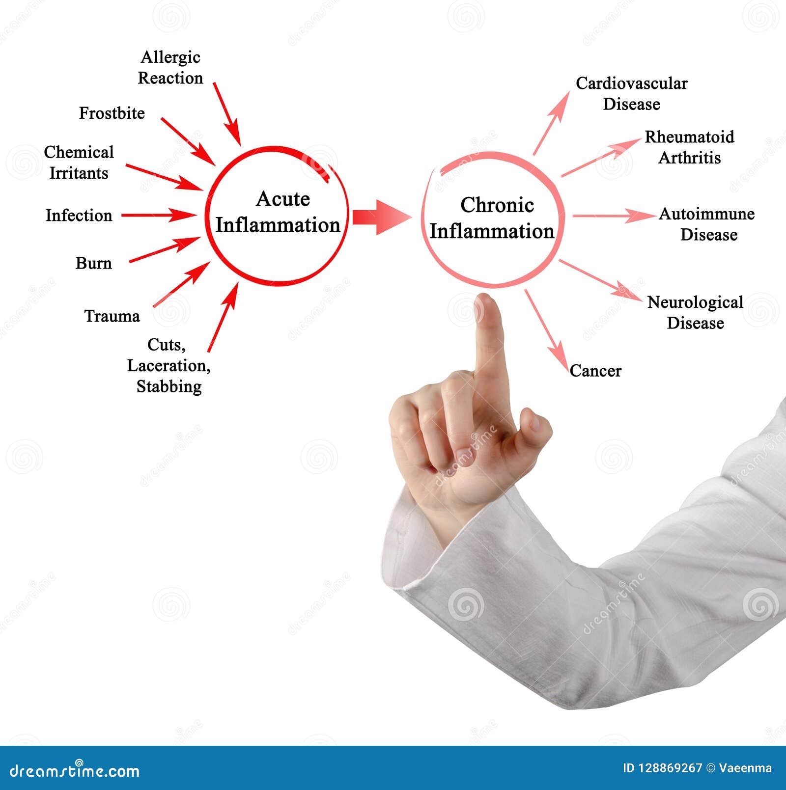 acute and chronic inflammation