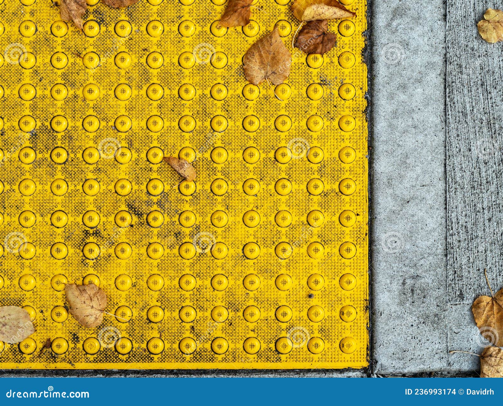 ADA Warning Pad on a Concrete Sidewalk with Fallen Leaves Stock Photo