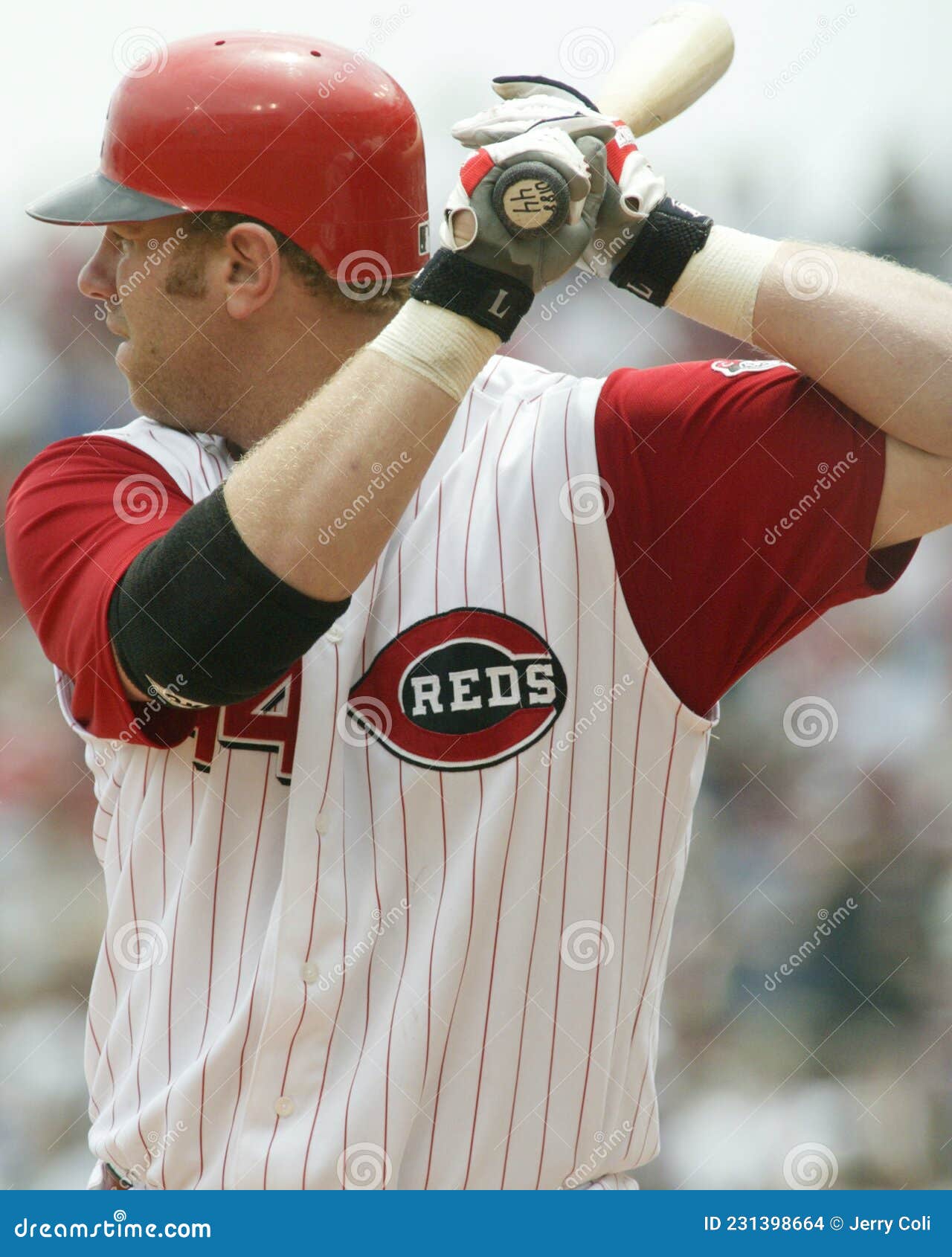 Adam Dunn, Cincinnati Reds editorial stock image. Image of baseball -  231398664