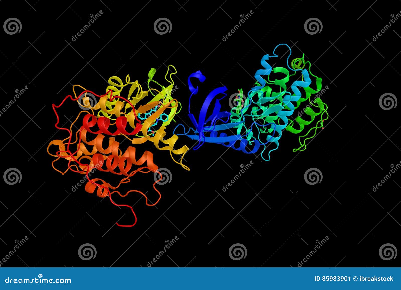 Adaptorassociated Protein Kinase 1, a Protein Which Interacts W Stock