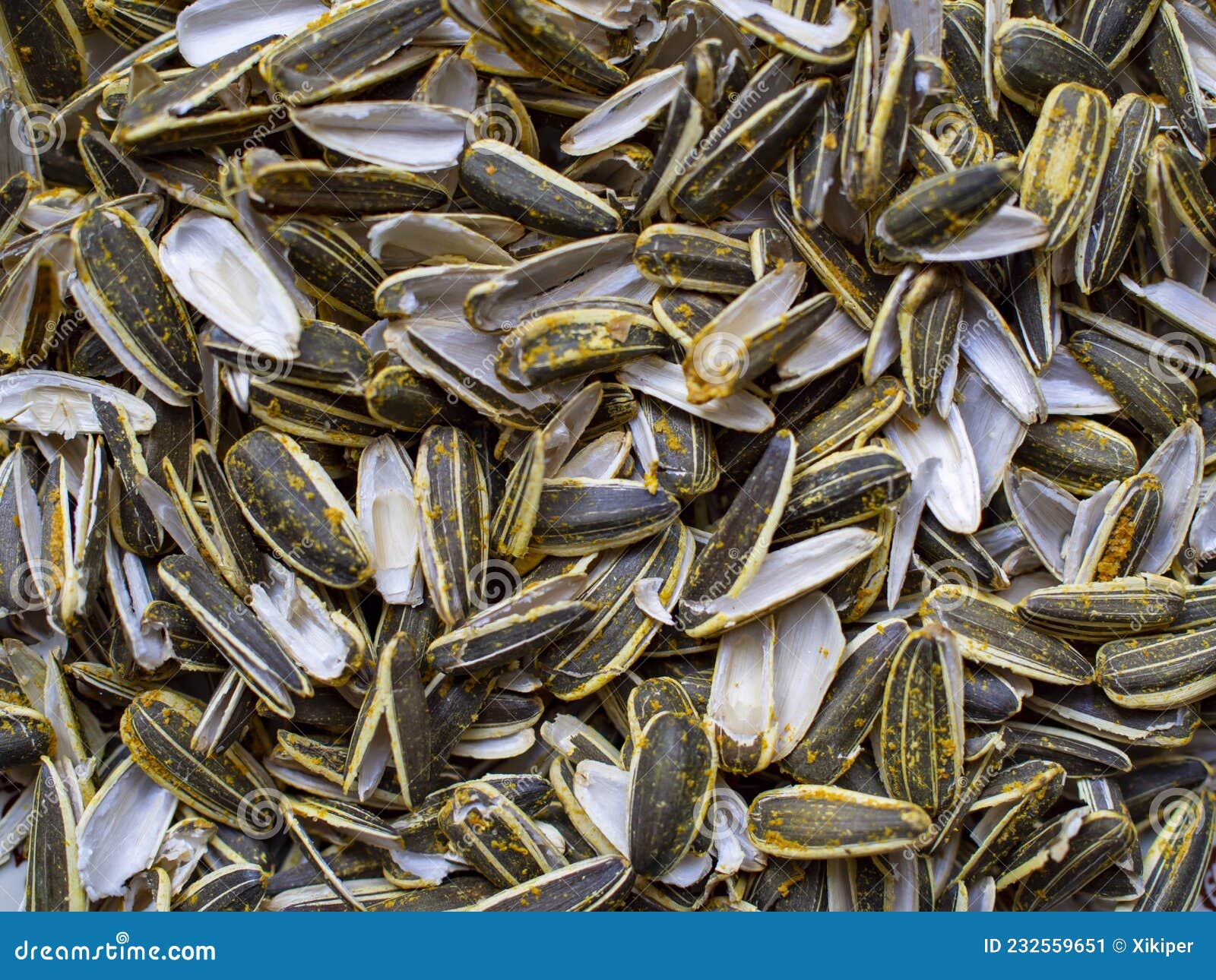 Addiction of the Sunflower Seed Eating Stock Image Image of seed