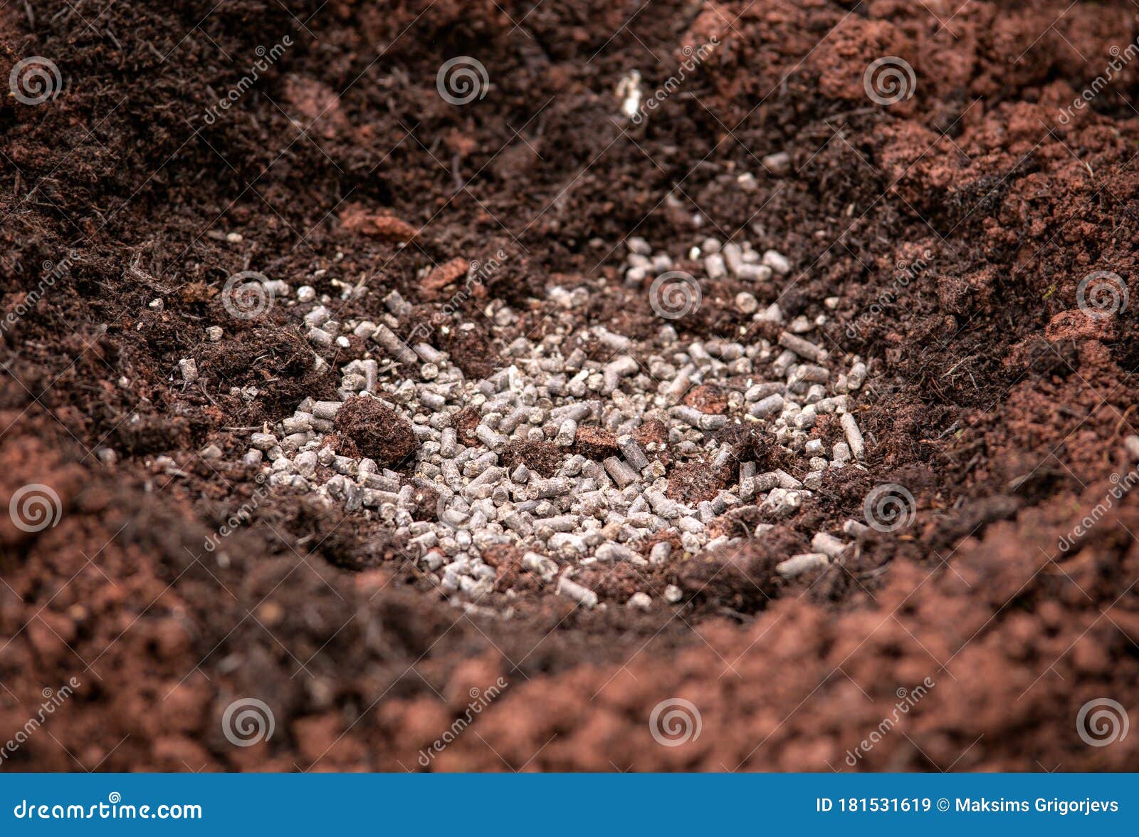 adding chicken manure pellets to soil ground for planting in garden
