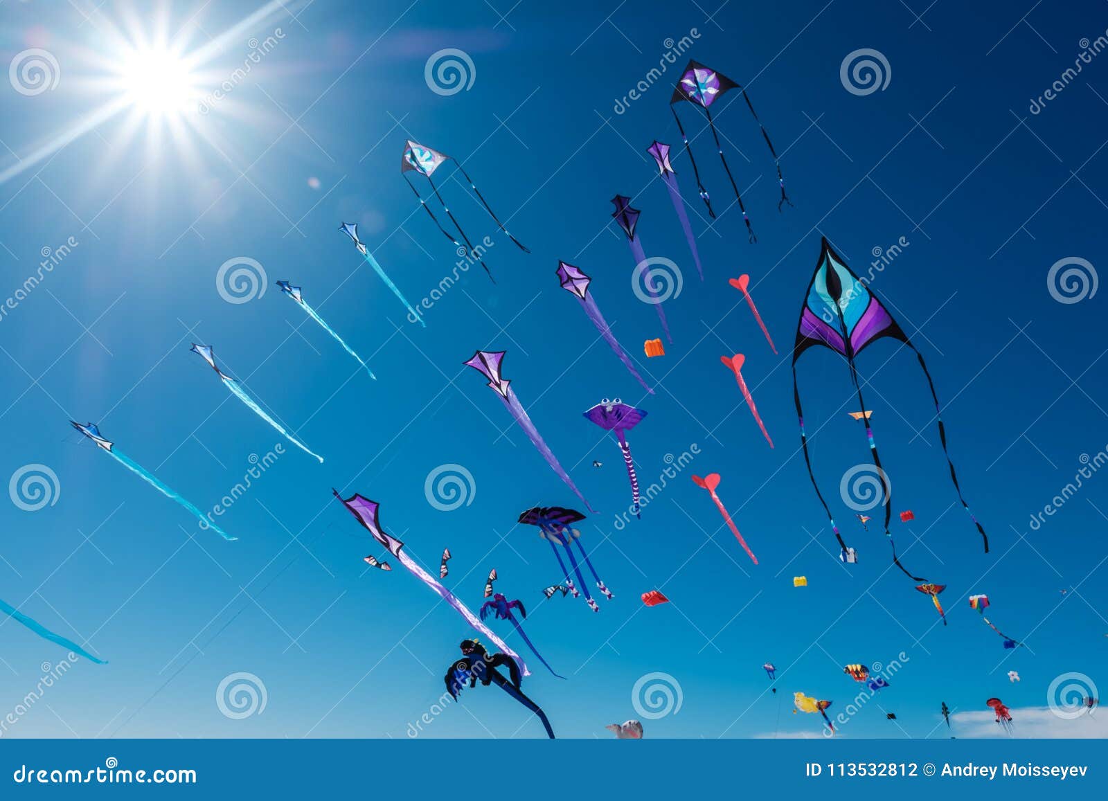 Adelaide International Kite Festival 2025 Dates Marys Sheilah