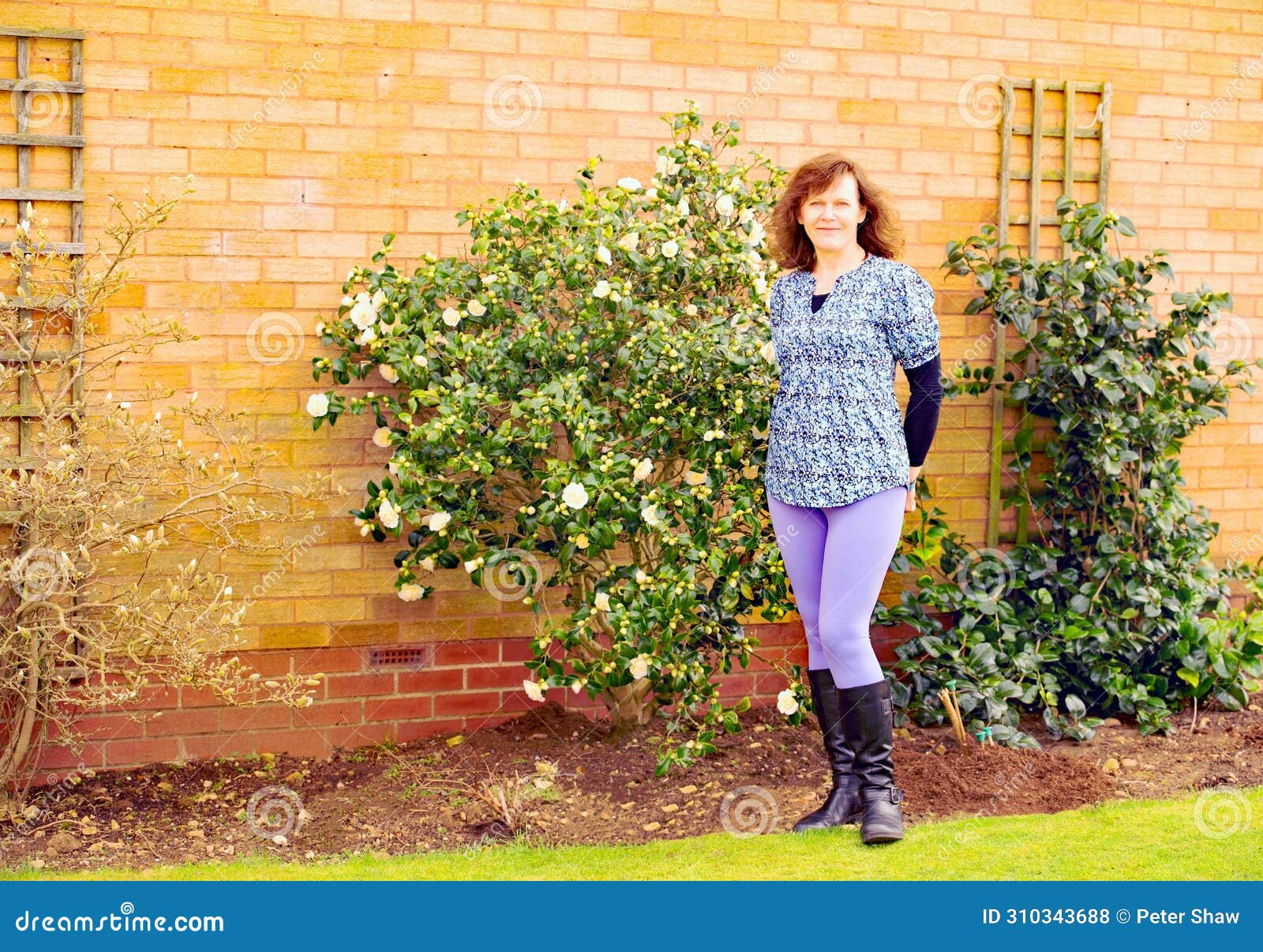 adele amongst the camelias, in march.