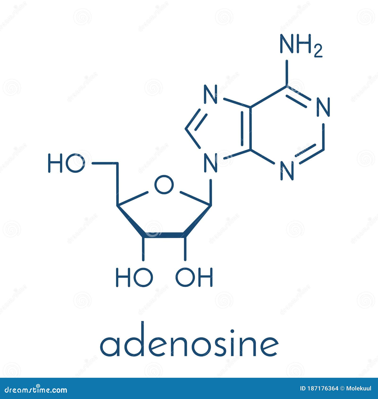 adenosine ado purine nucleoside molecule. important component of atp, adp, camp and rna. also used as drug. skeletal formula.